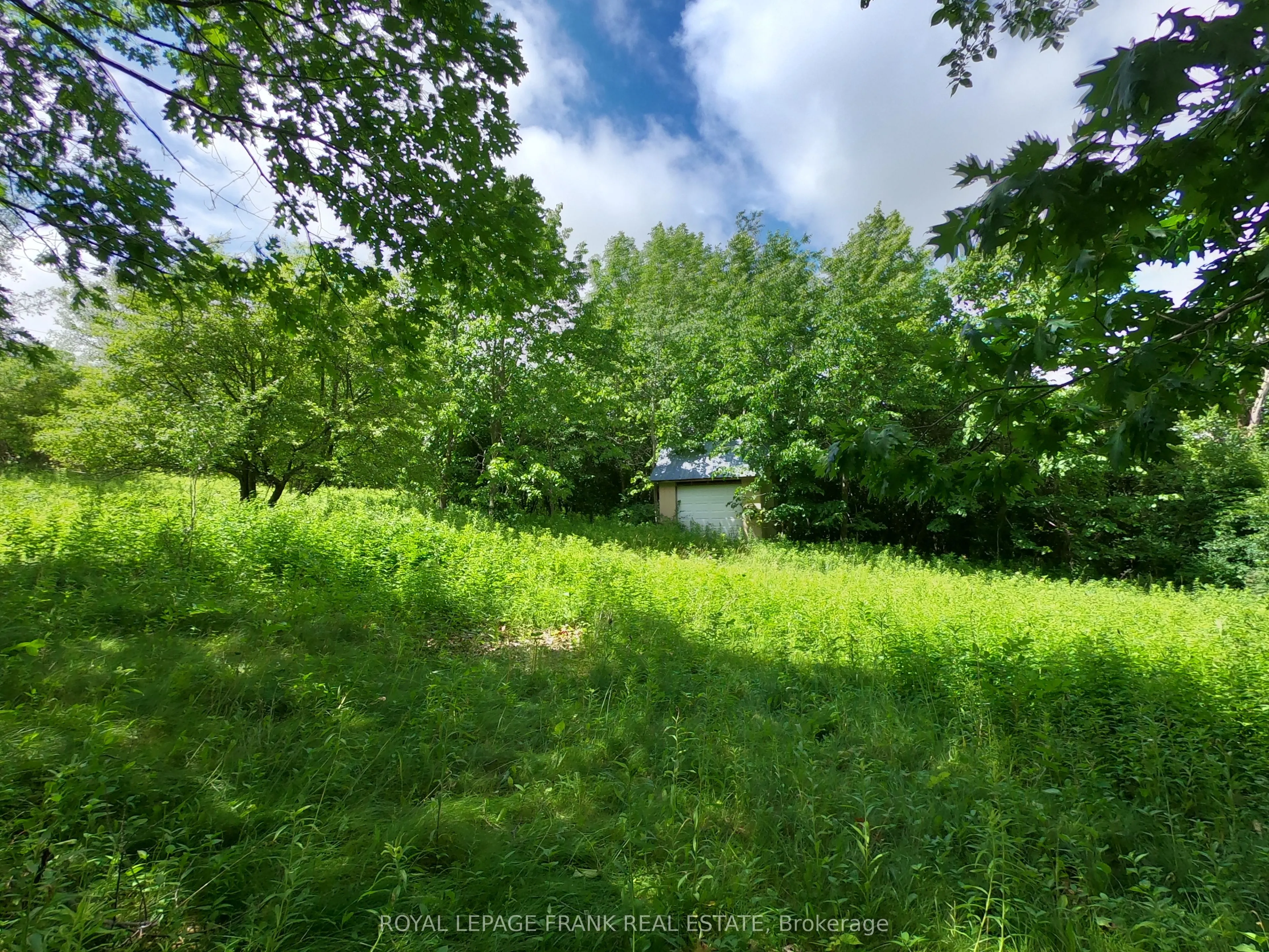 110 Cow Island