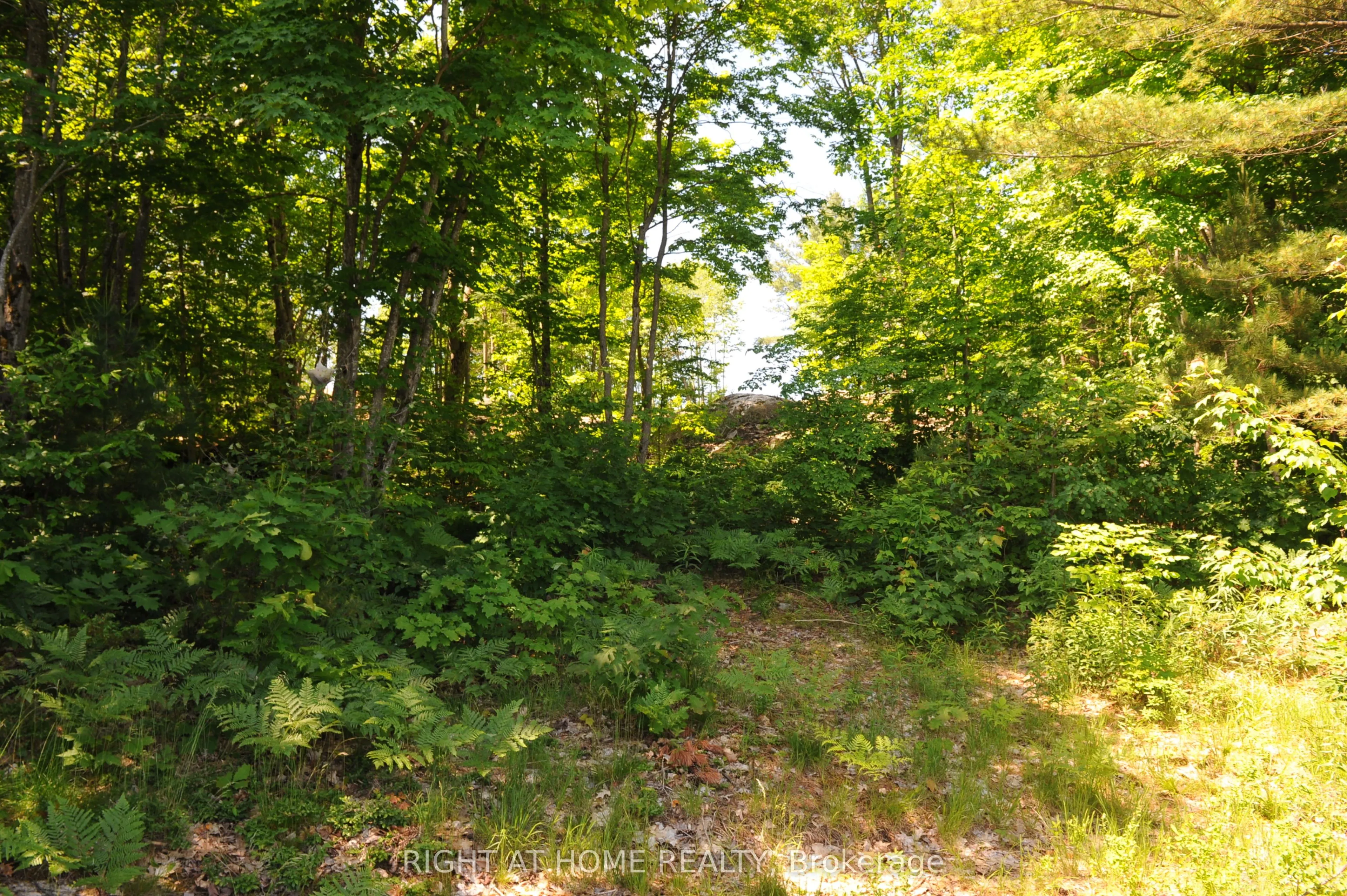22 Hawkins Point