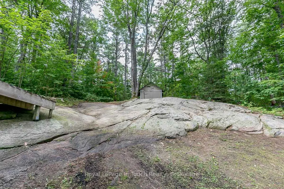 4 Severn River Shore
