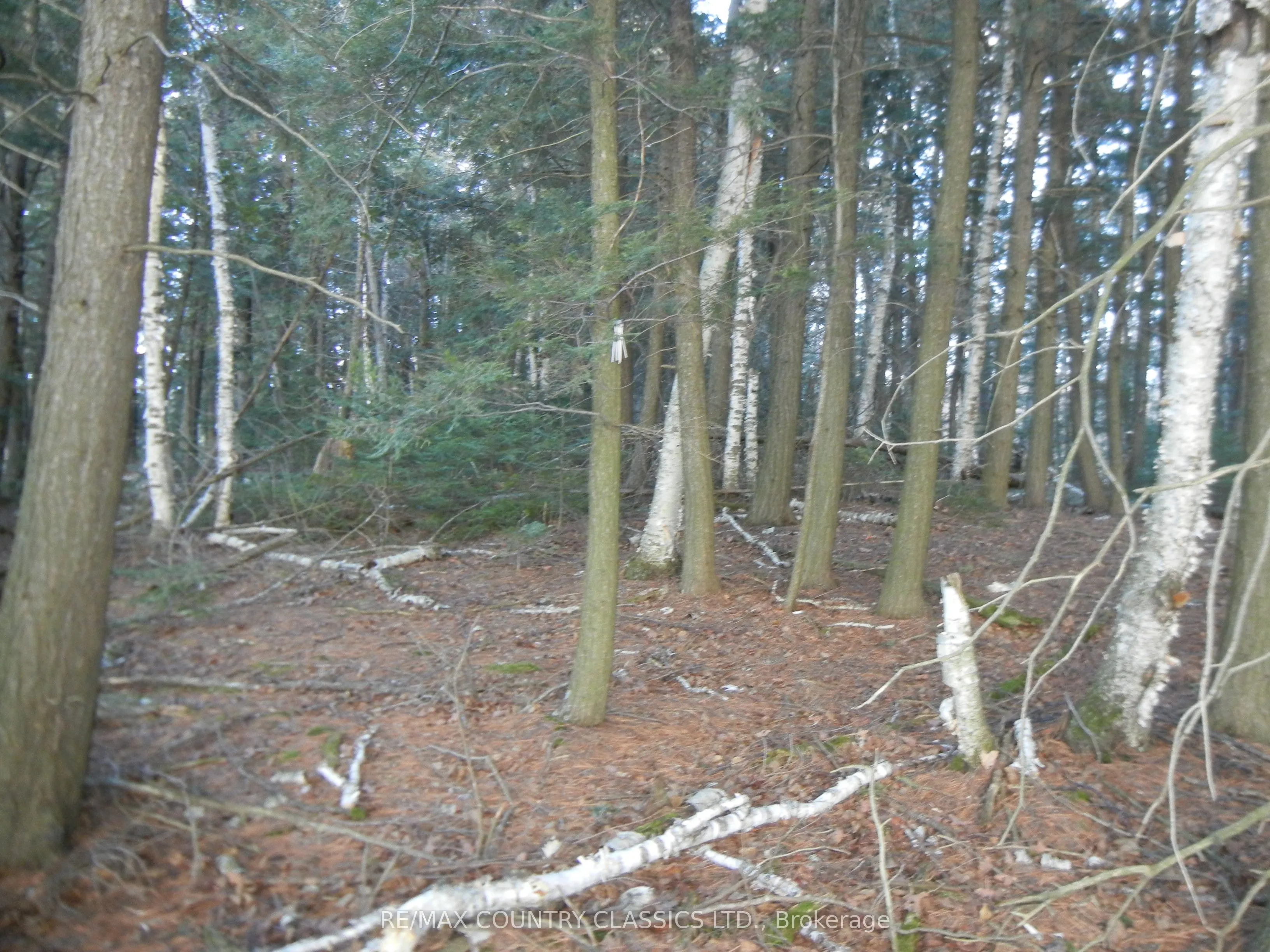 0 Knox Point Road