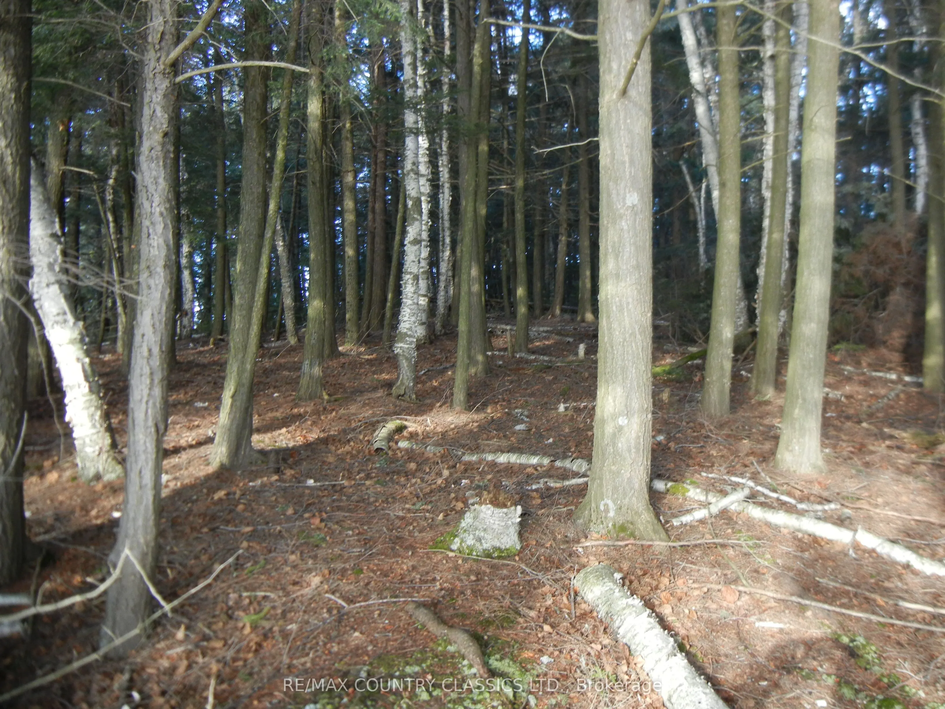 0 Knox Point Road