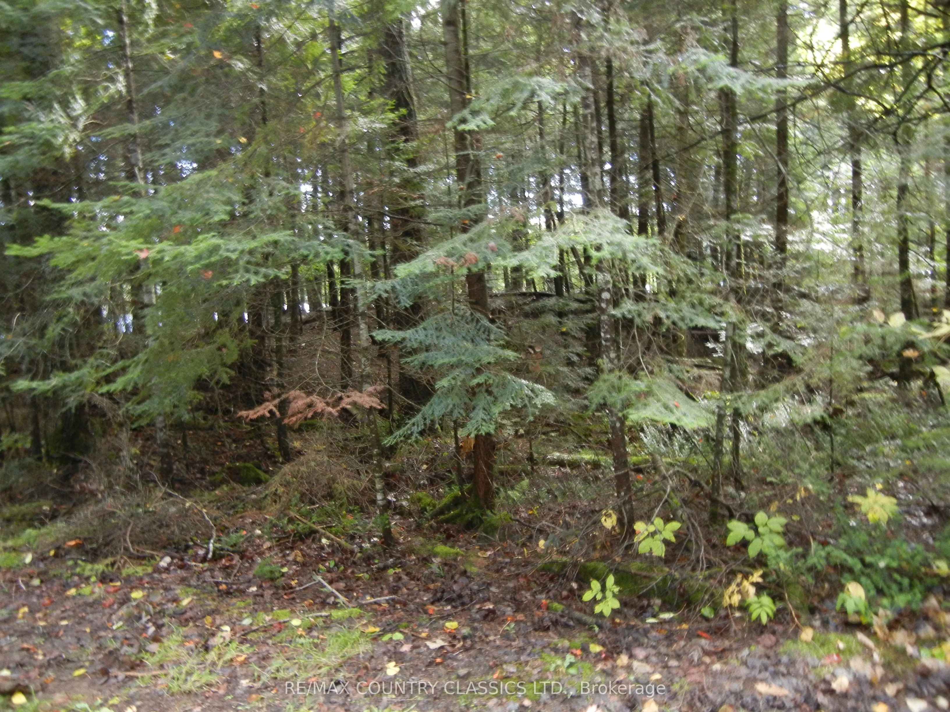 0 Knox Point Road