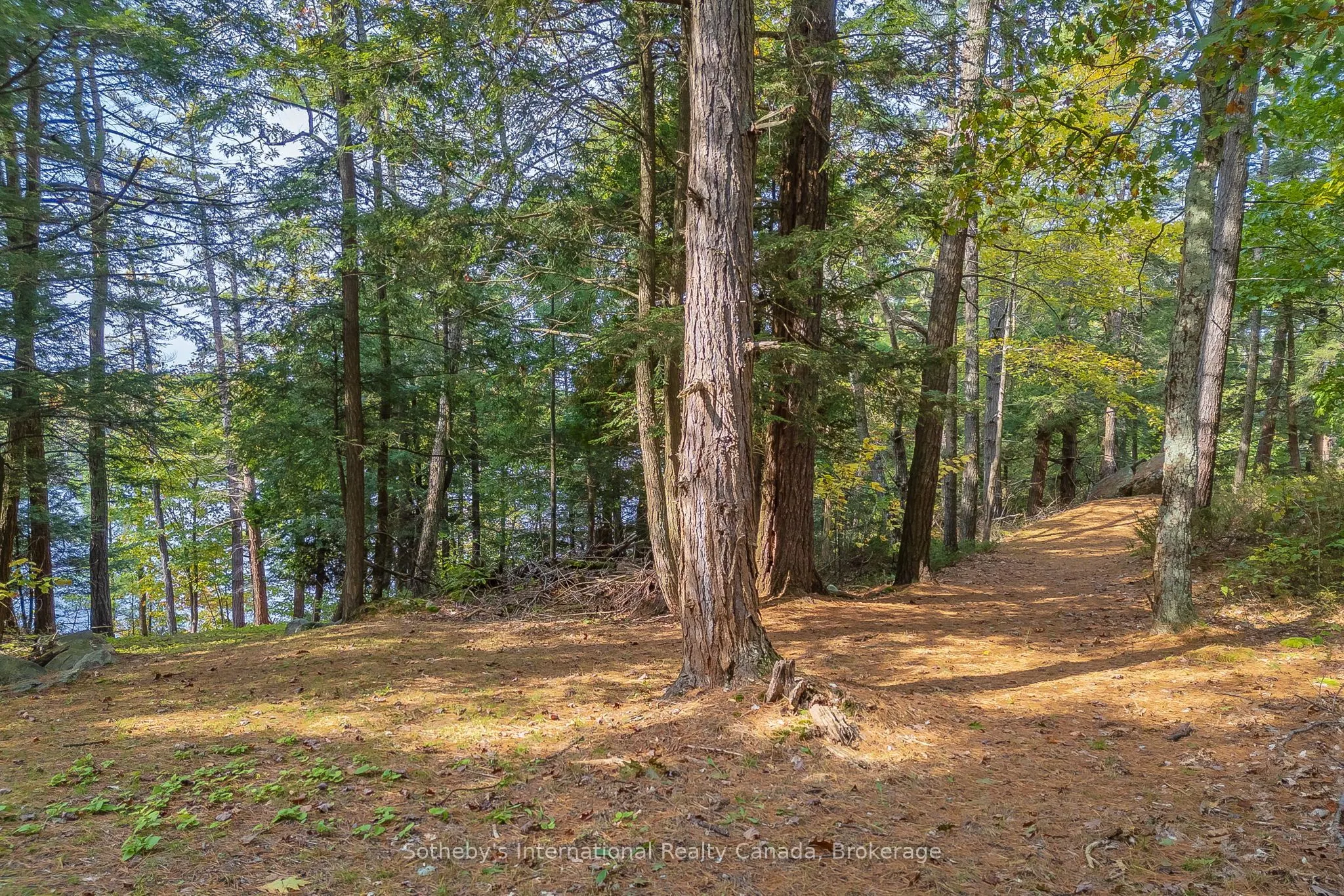 22418 GEORGIAN BAY SHORE