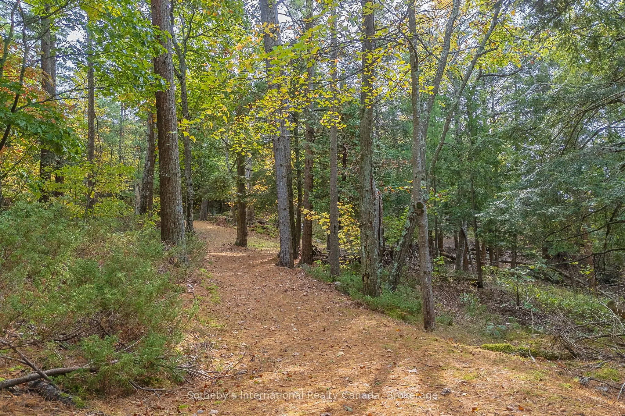 22418 GEORGIAN BAY SHORE