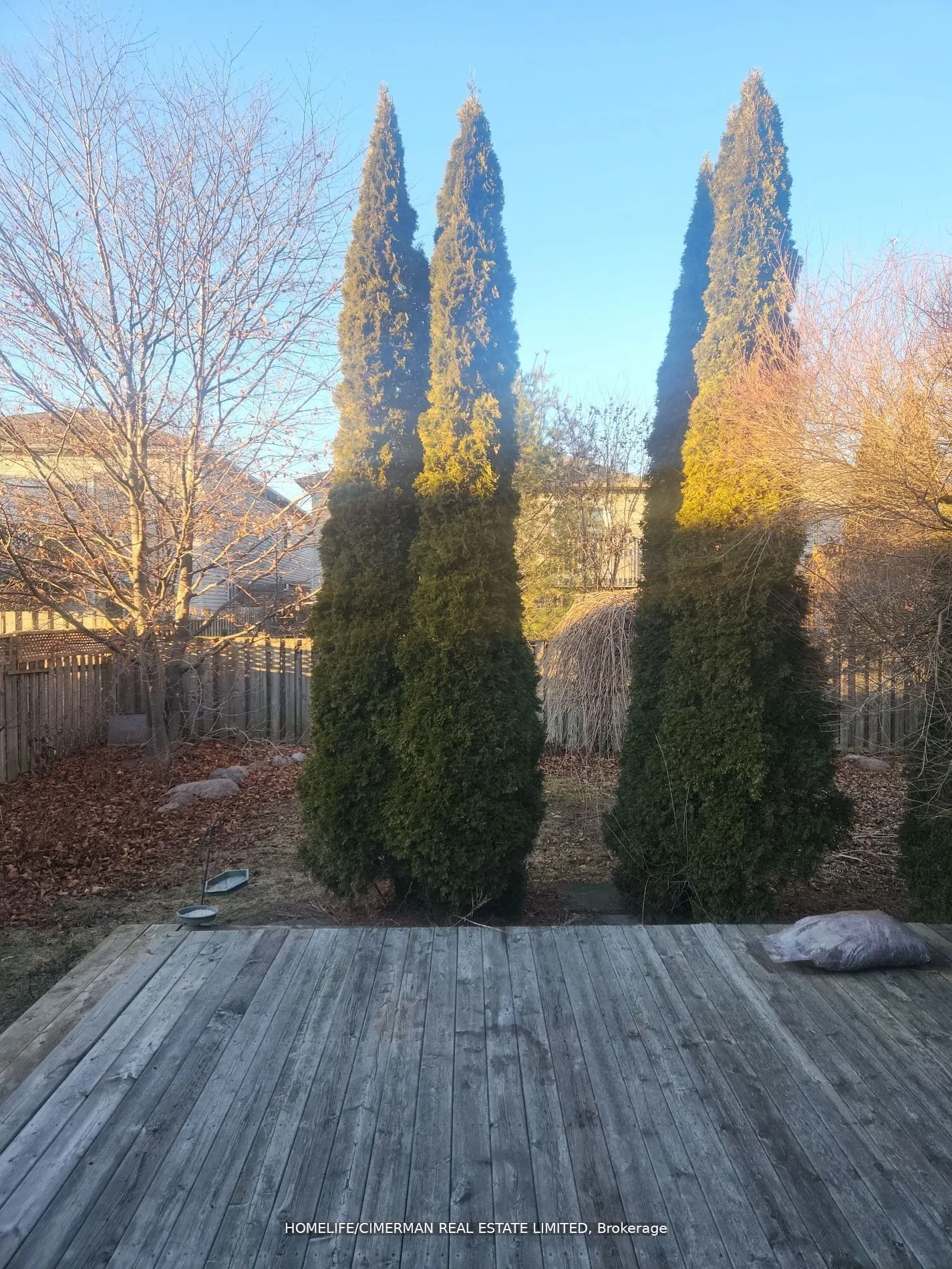77 Jarvis Drive