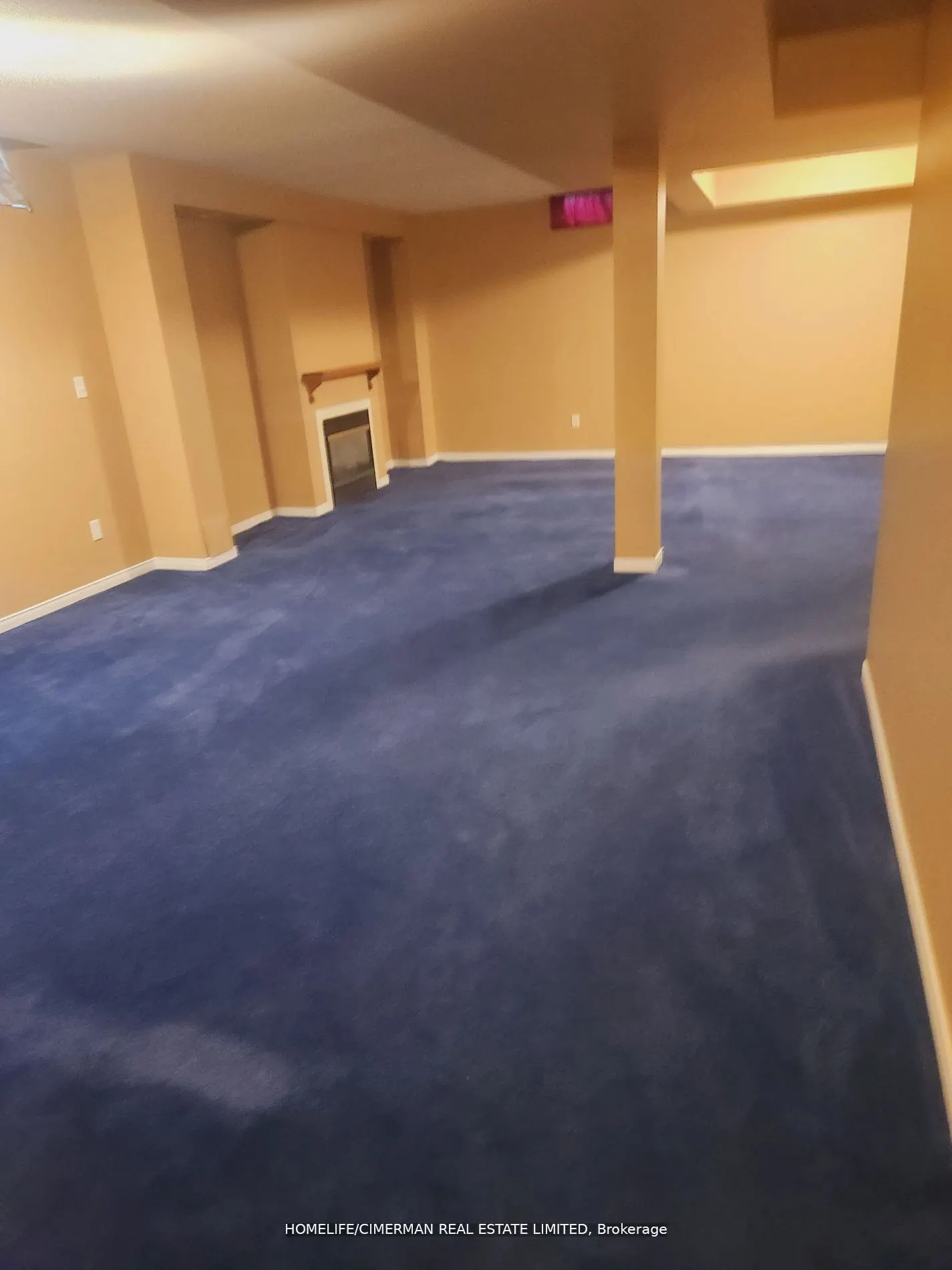 77 Jarvis Drive