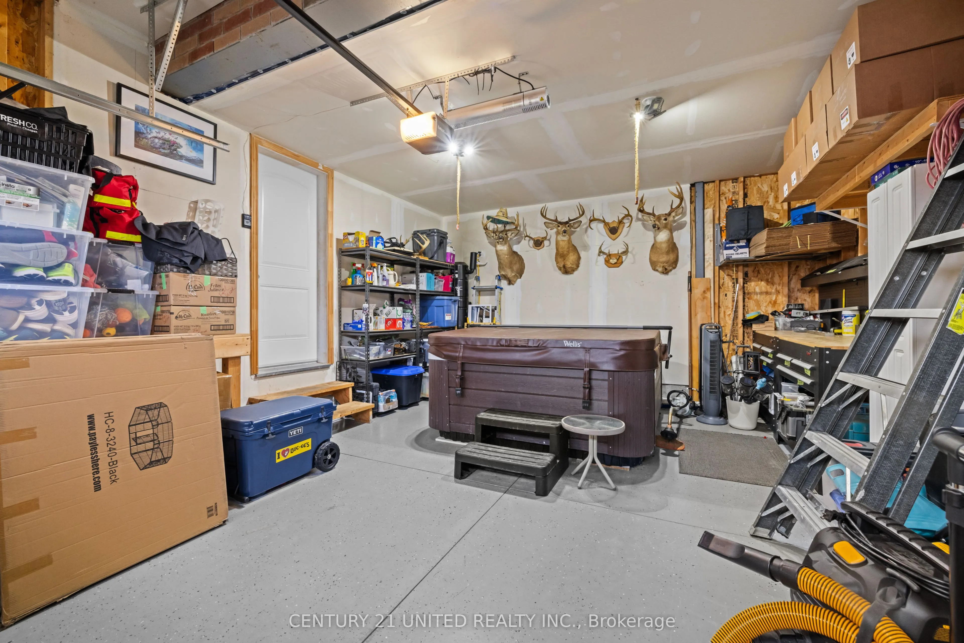 11 Darrell Drain Crescent