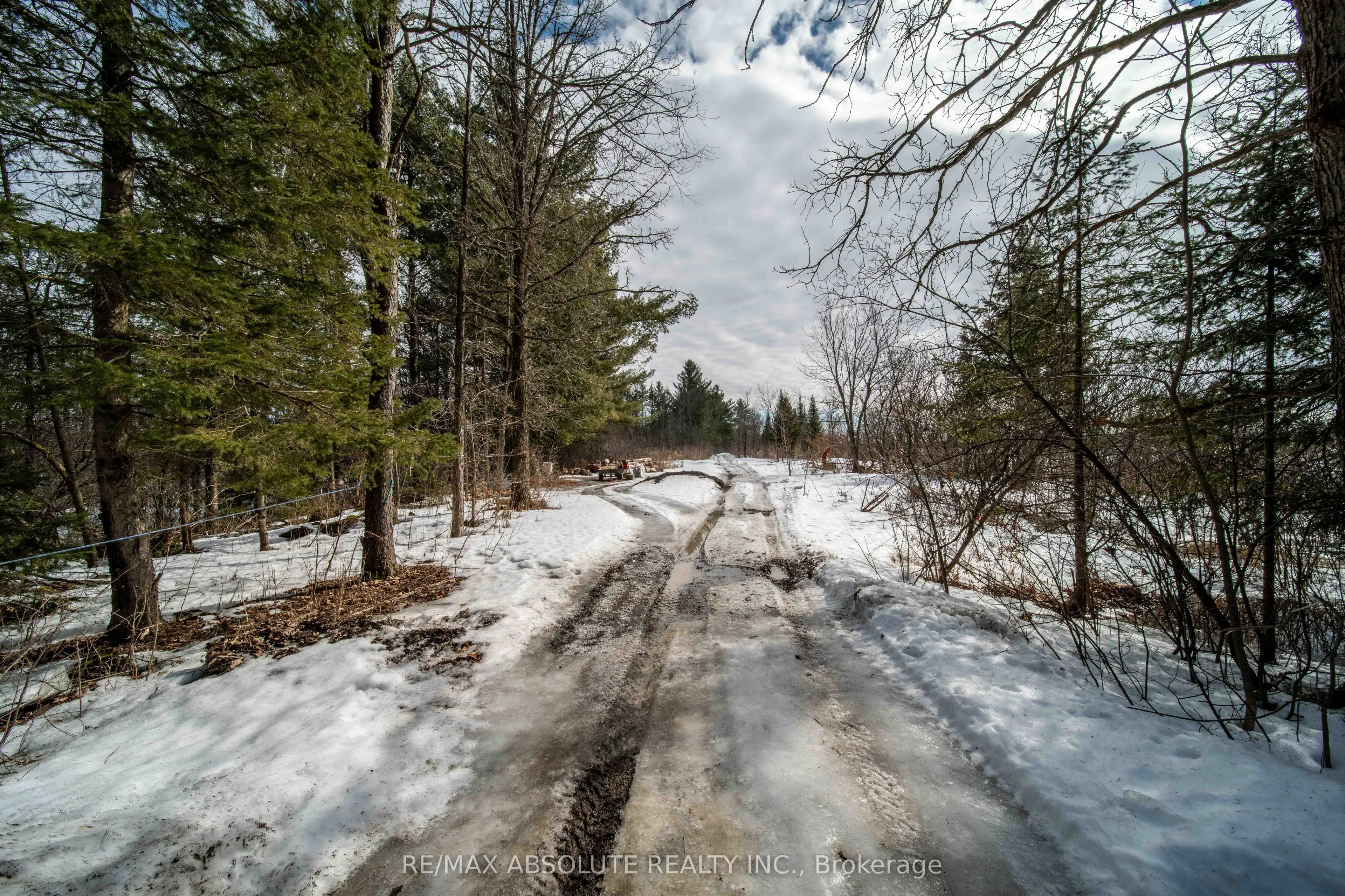 1578 David Road