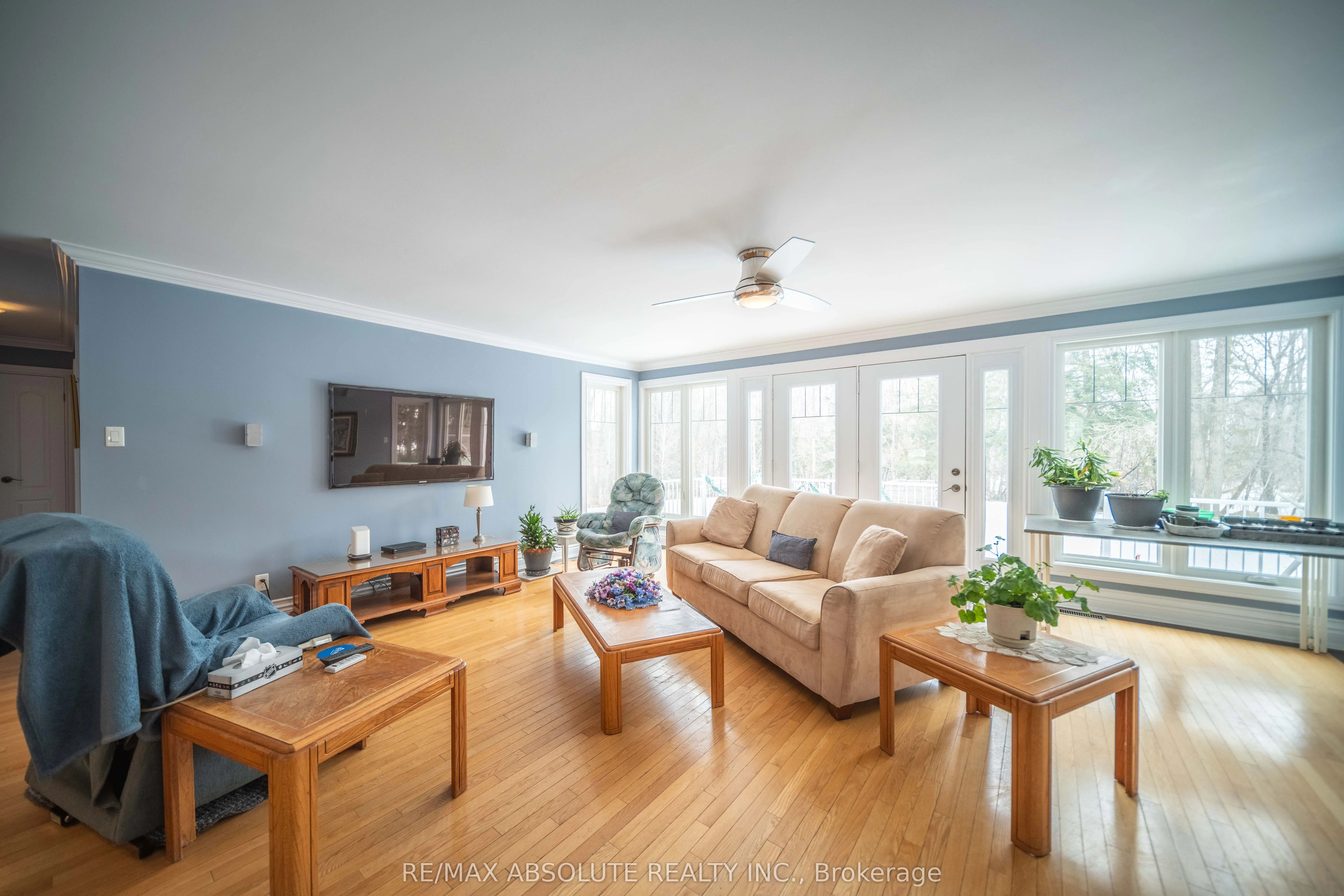 1578 David Road