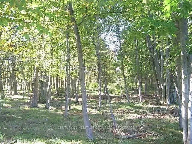 0 Buttermilk Falls Road