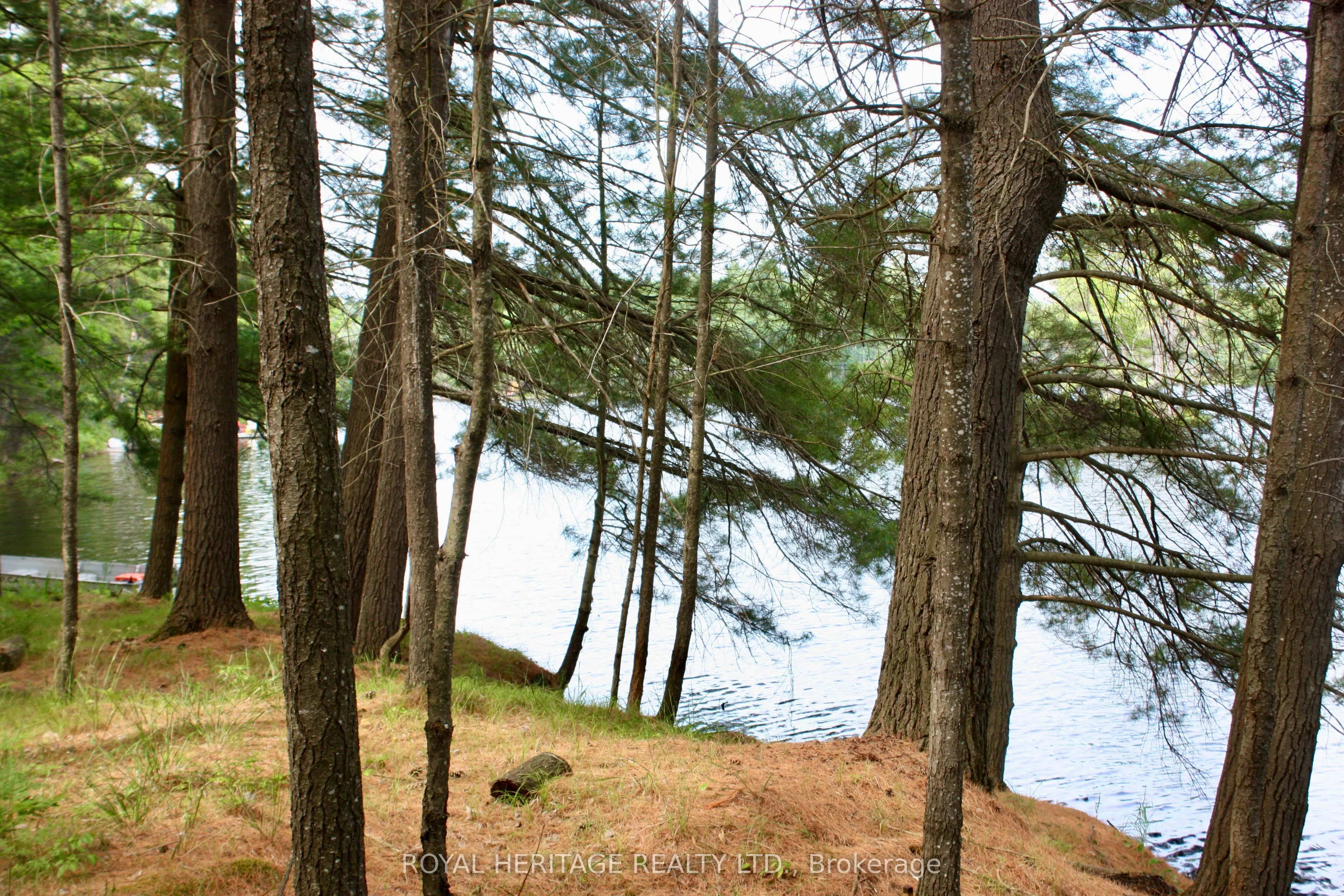 N/A-WAO Kasshabog Lake, #LOT 1