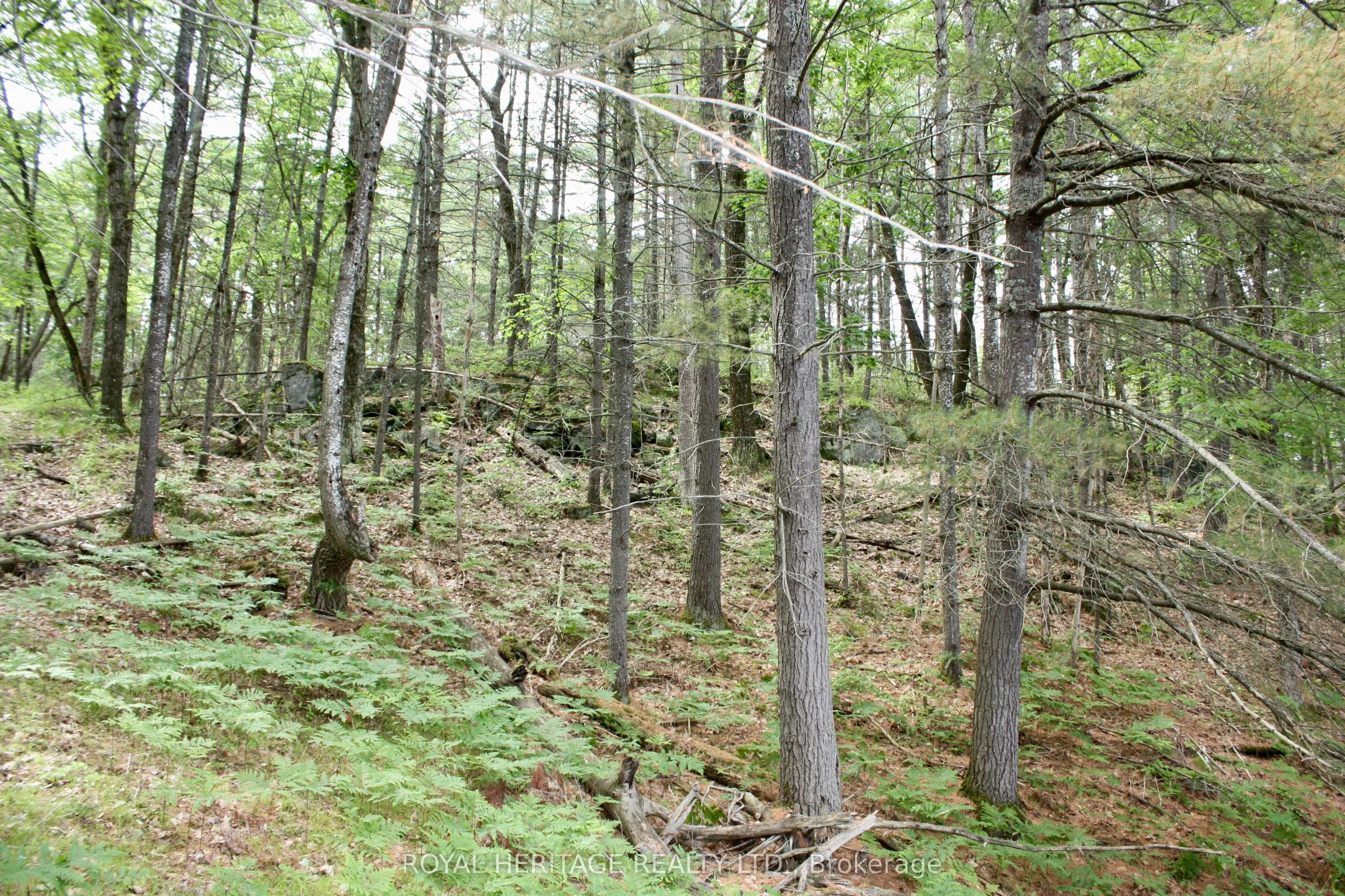 N/A-WAO Kasshabog Lake, #LOT 1