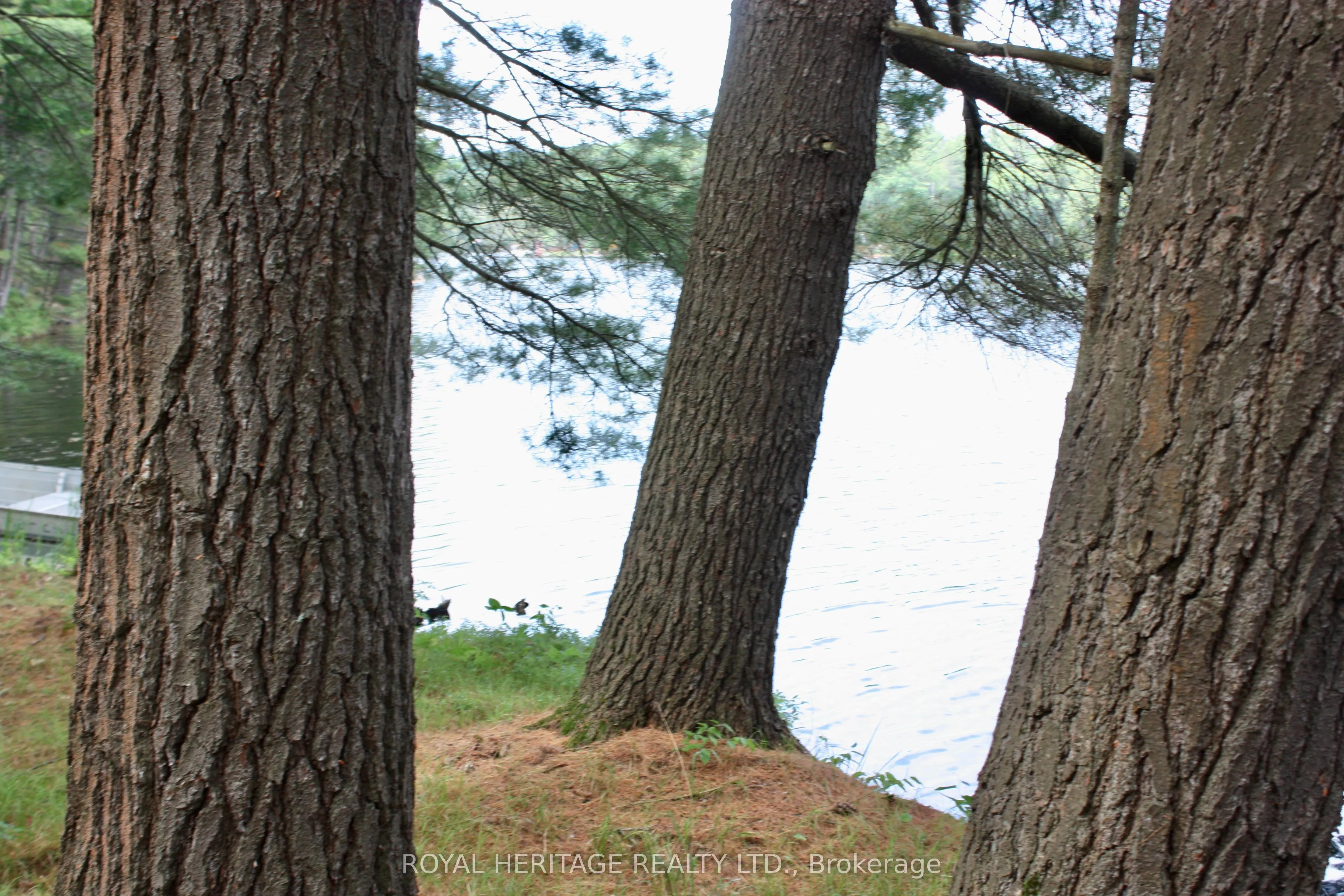 N/A-WAO Kasshabog Lake, #LOT 1