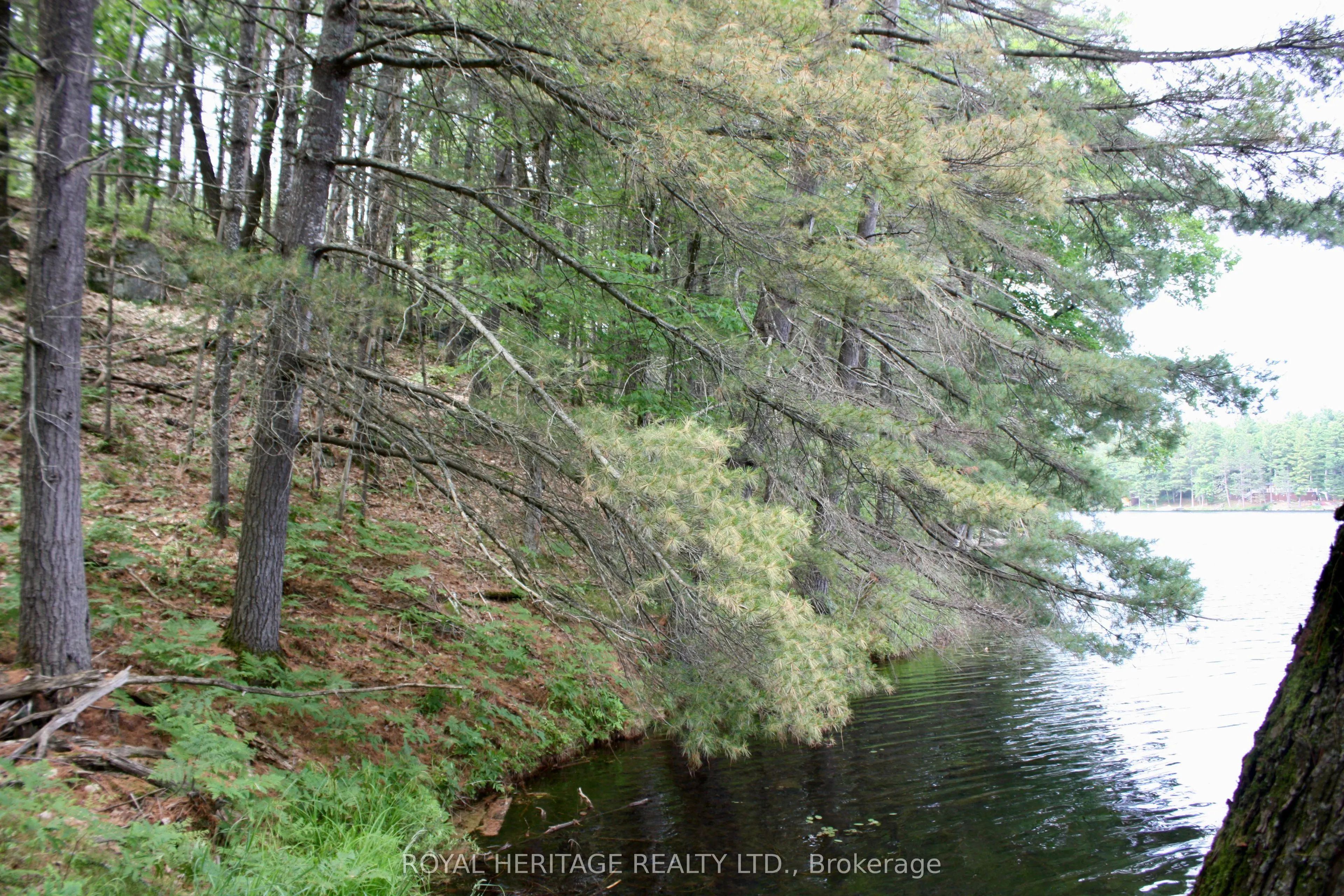 N/A-WAO Kasshabog Lake, #LOT 1