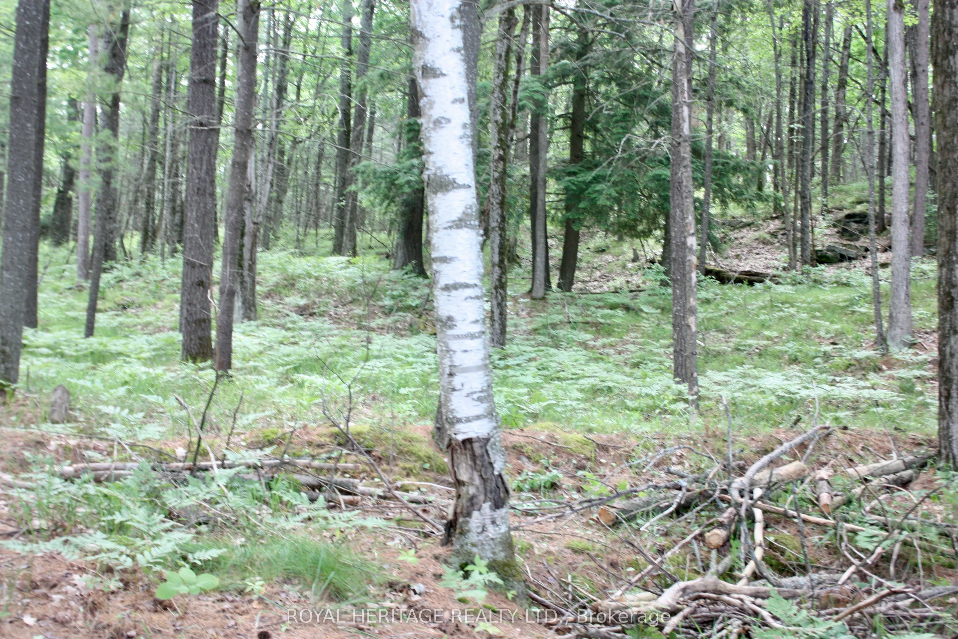 N/A-WAO Kasshabog Lake, #LOT 1
