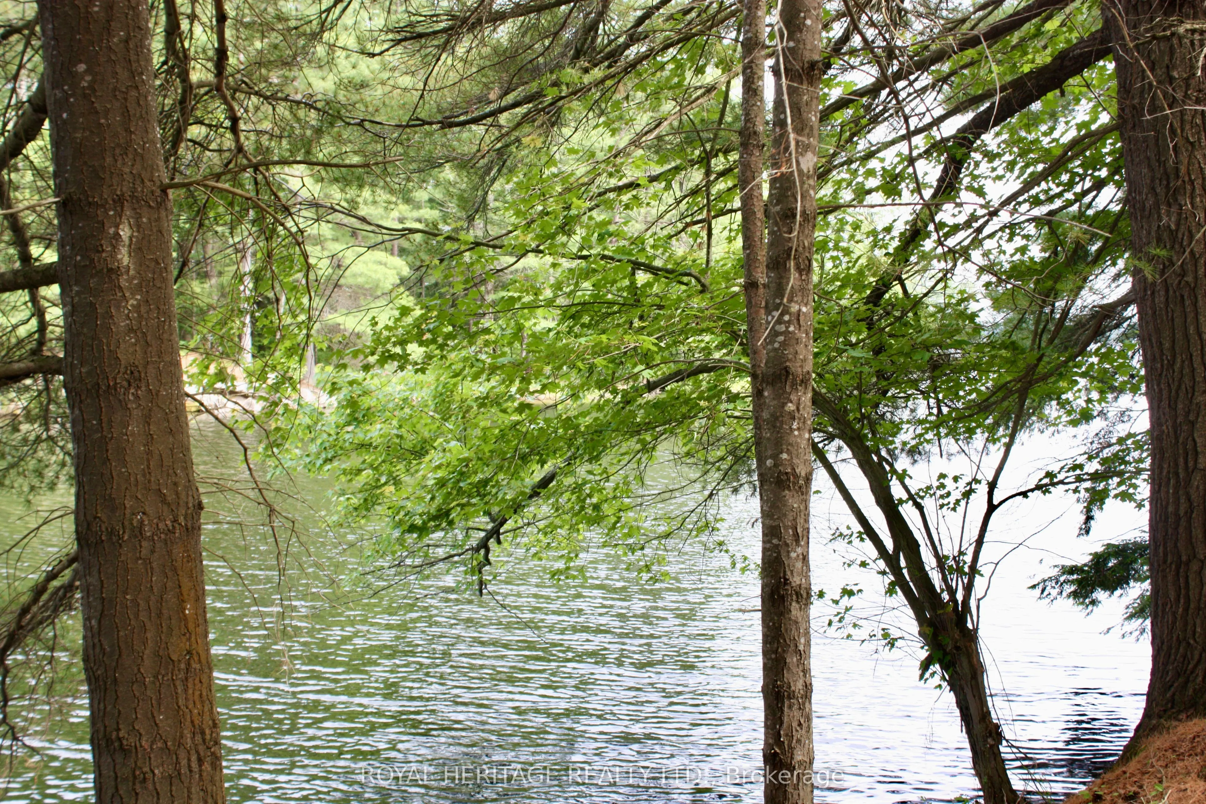 N/A-WAO Kasshabog Lake, #LOT 1