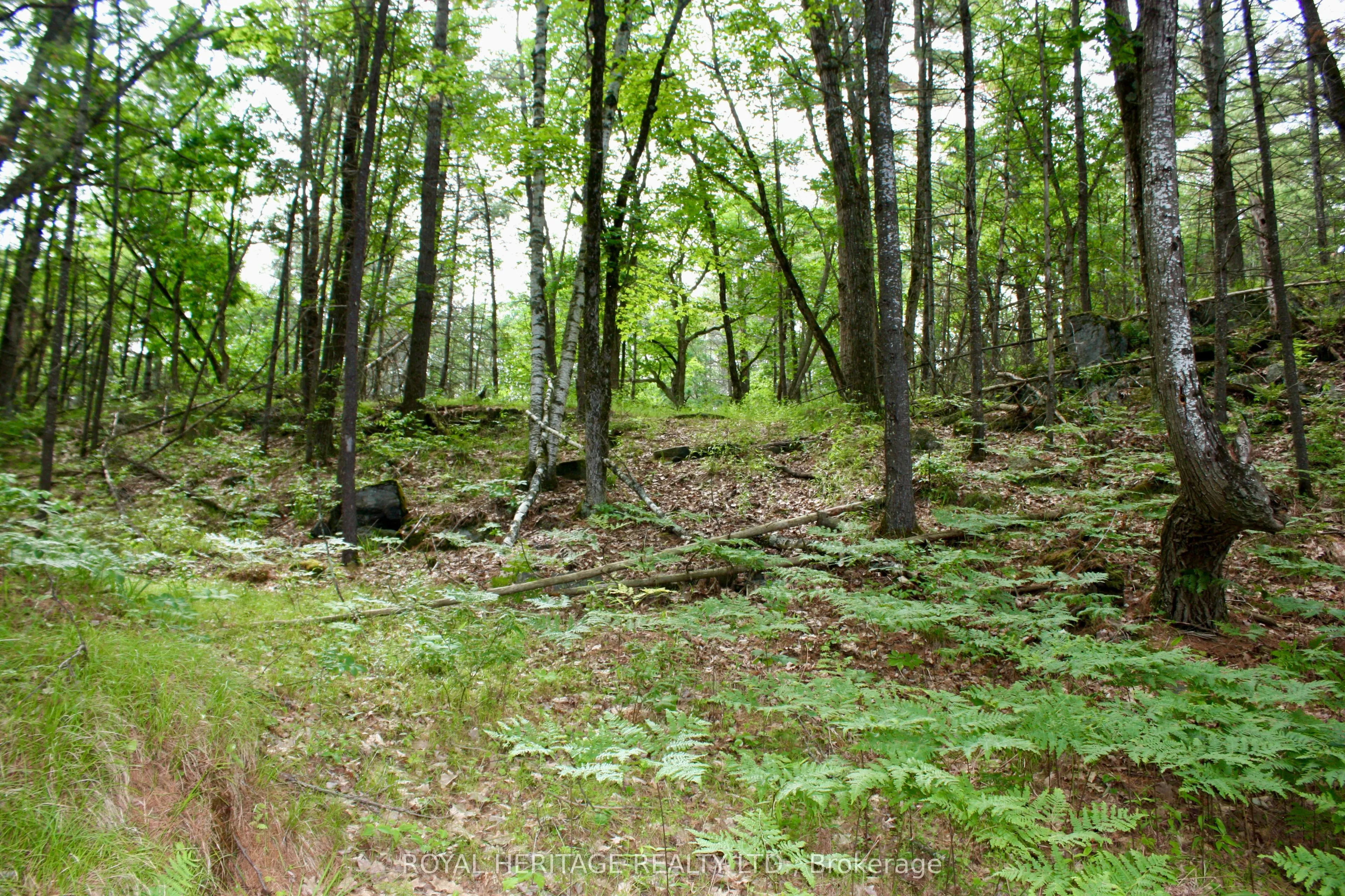 N/A-WAO Kasshabog Lake, #LOT 1
