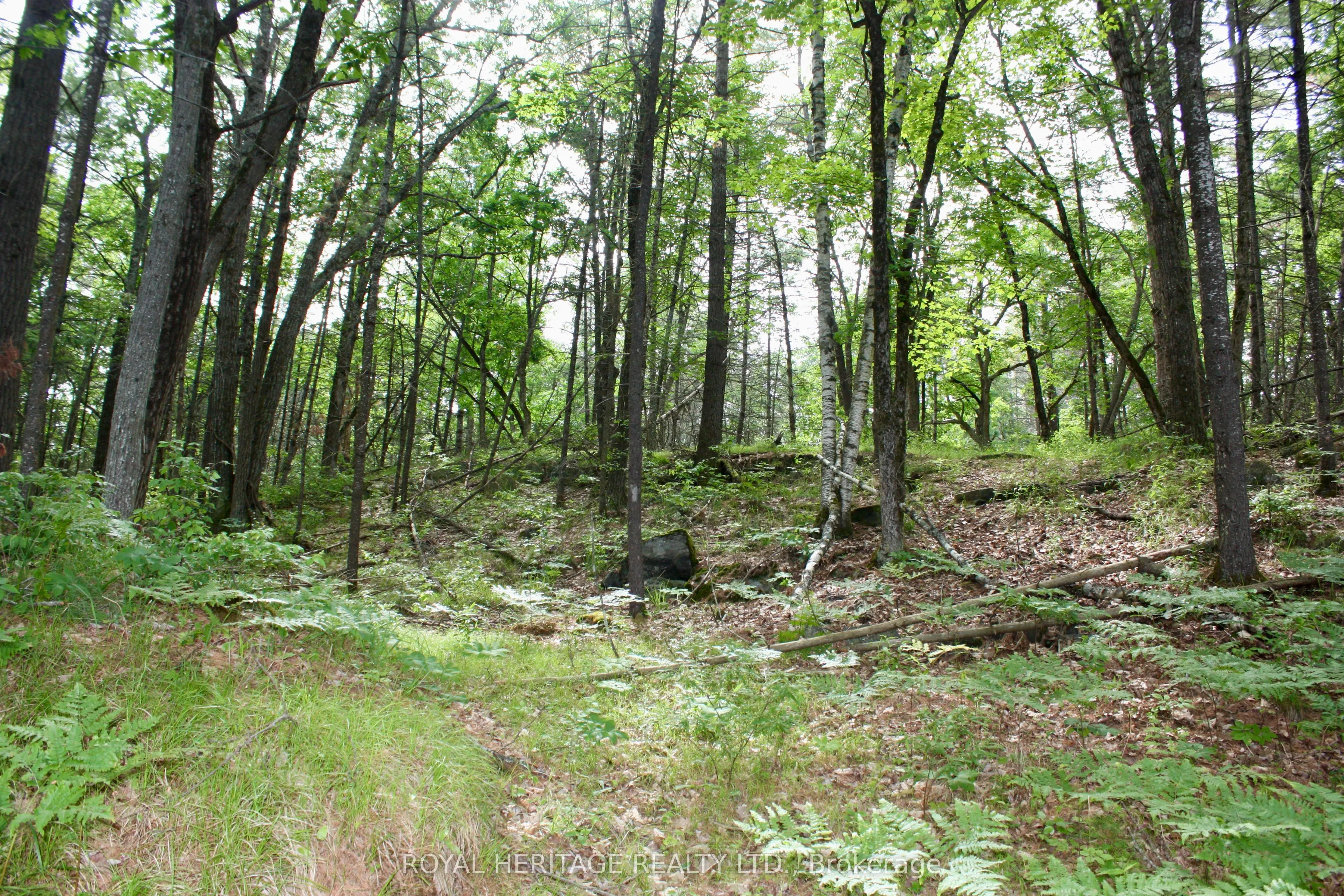 N/A-WAO Kasshabog Lake, #LOT 1
