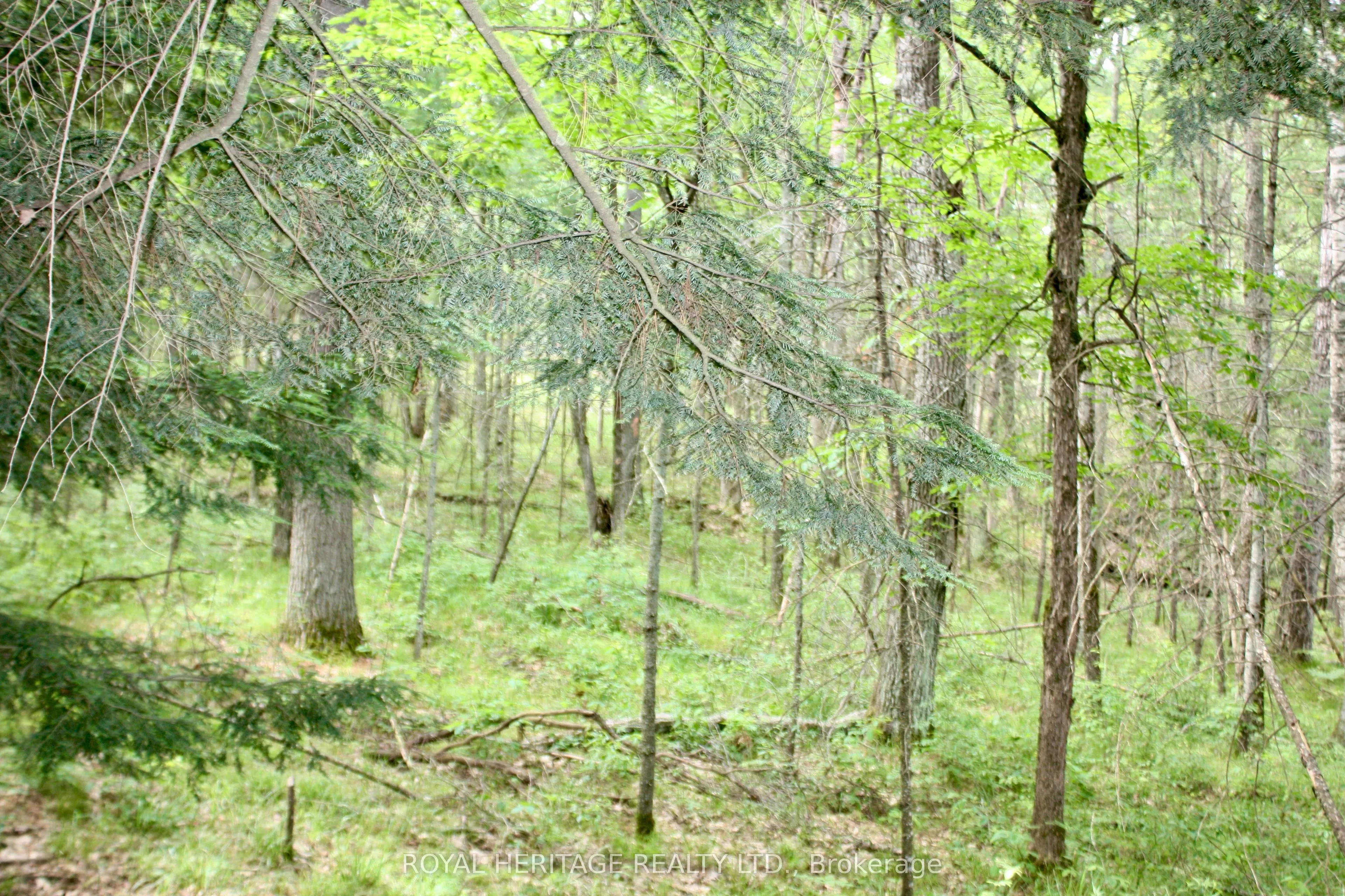 N/A-WAO Kasshabog Lake, #LOT 2