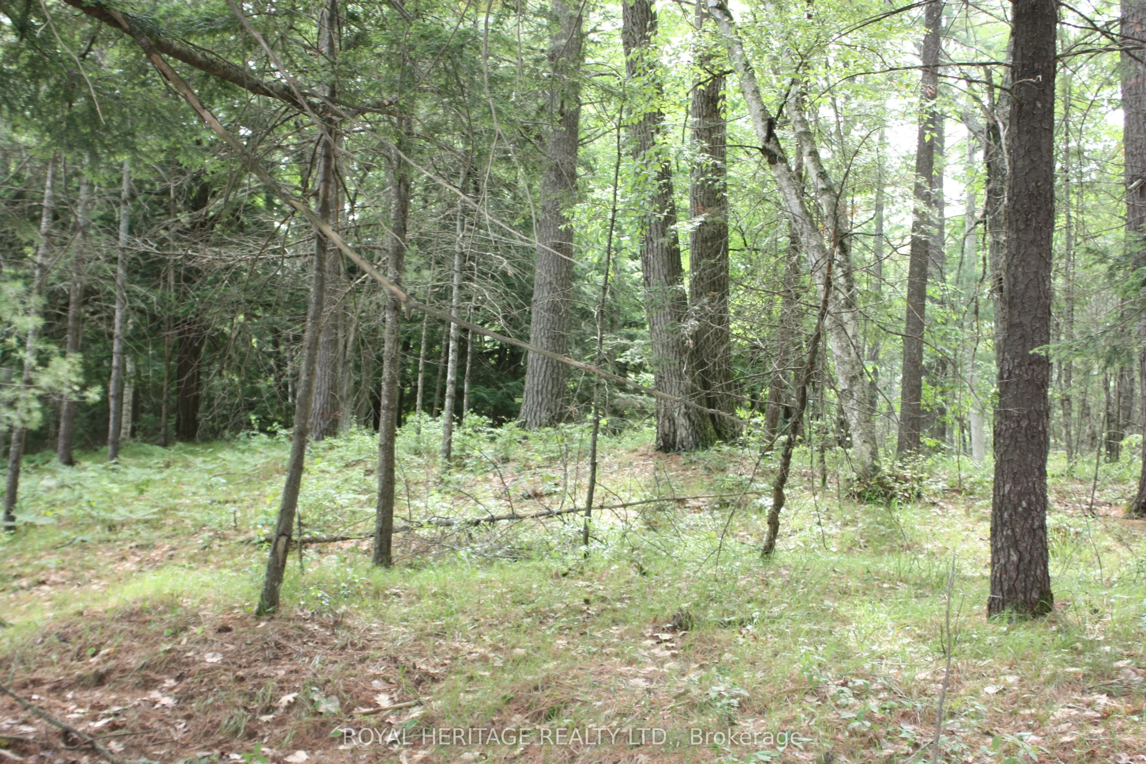 N/A-WAO Kasshabog Lake, #LOT 2