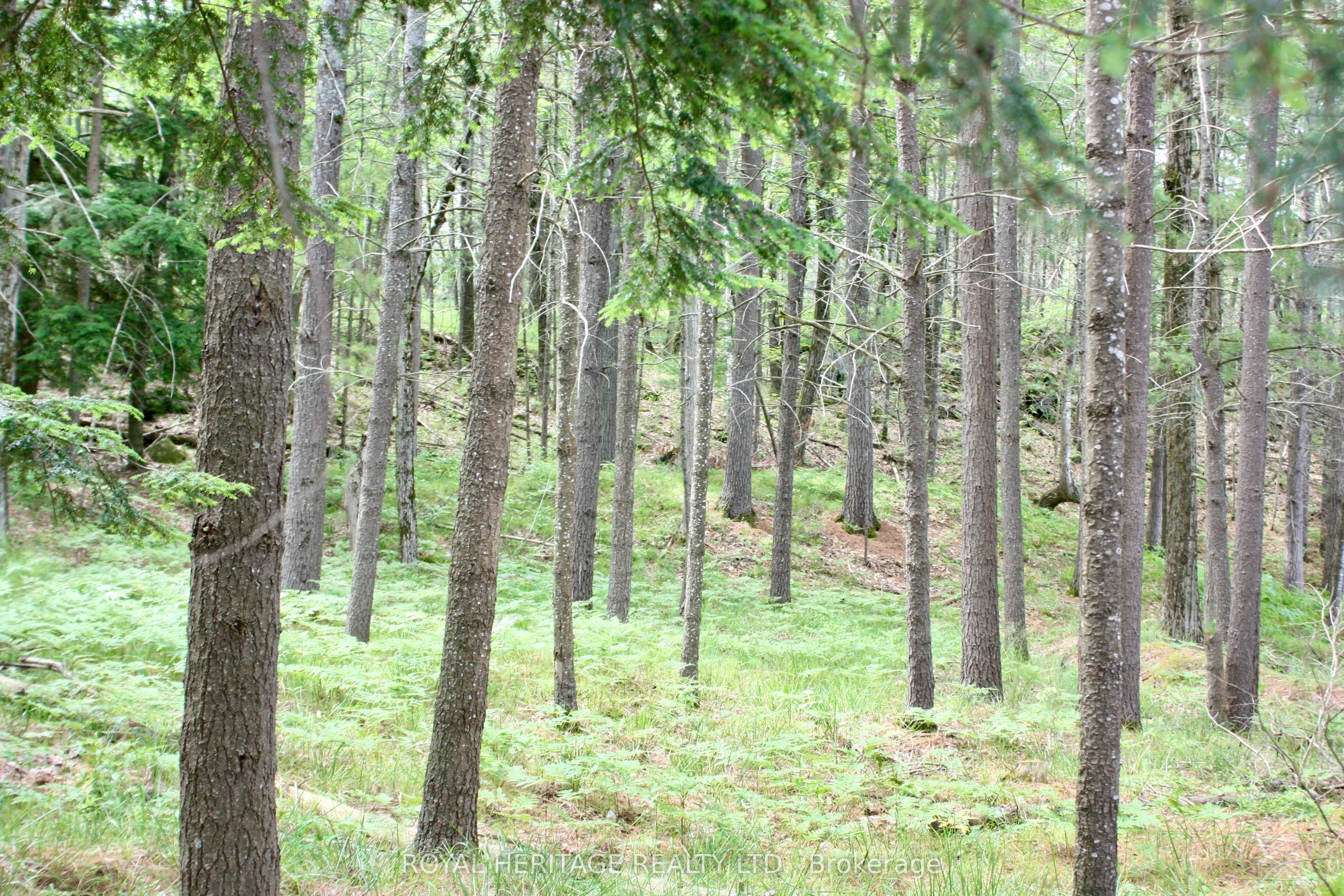N/A-WAO Kasshabog Lake, #LOT 2