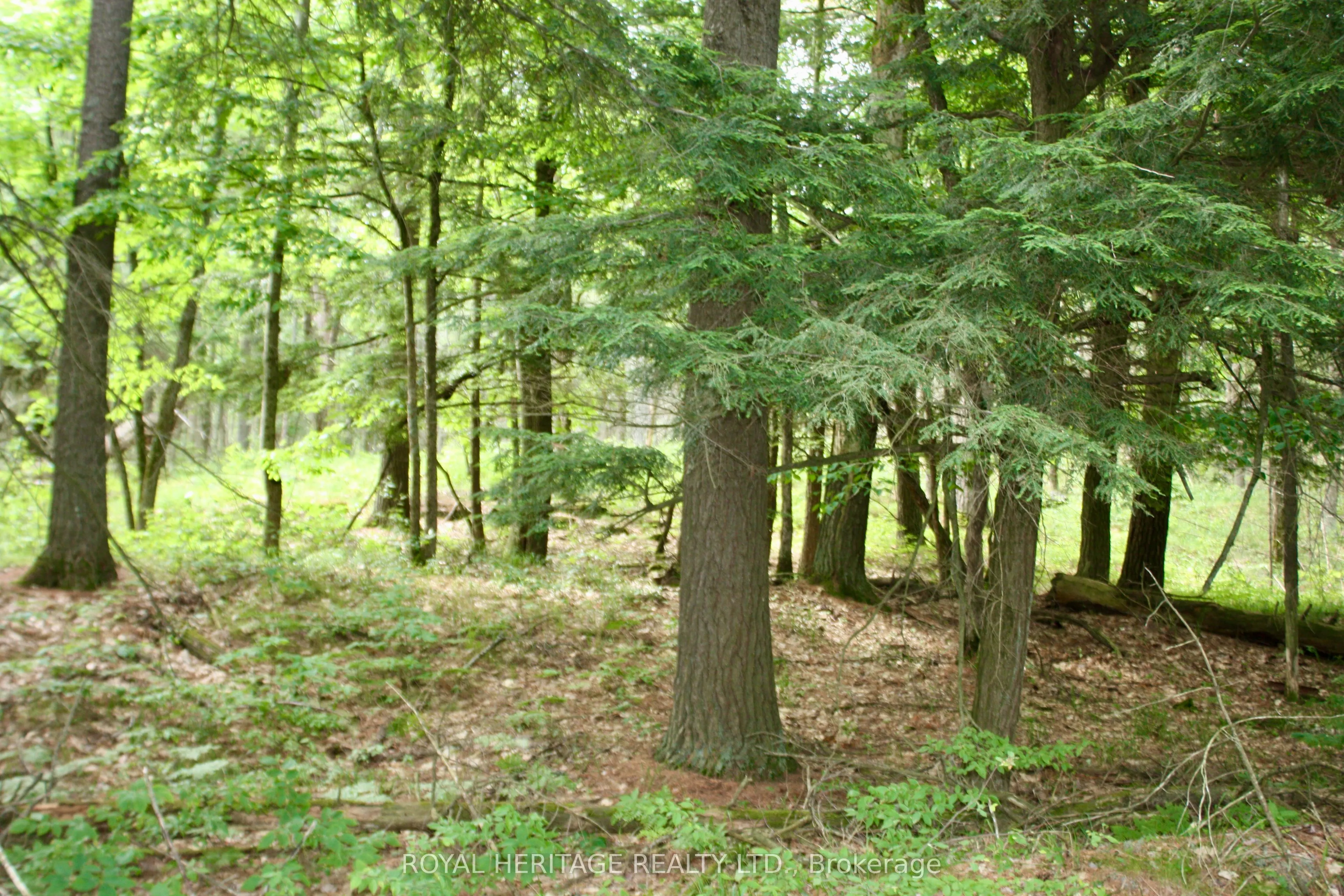 N/A-WAO Kasshabog Lake, #LOT 2