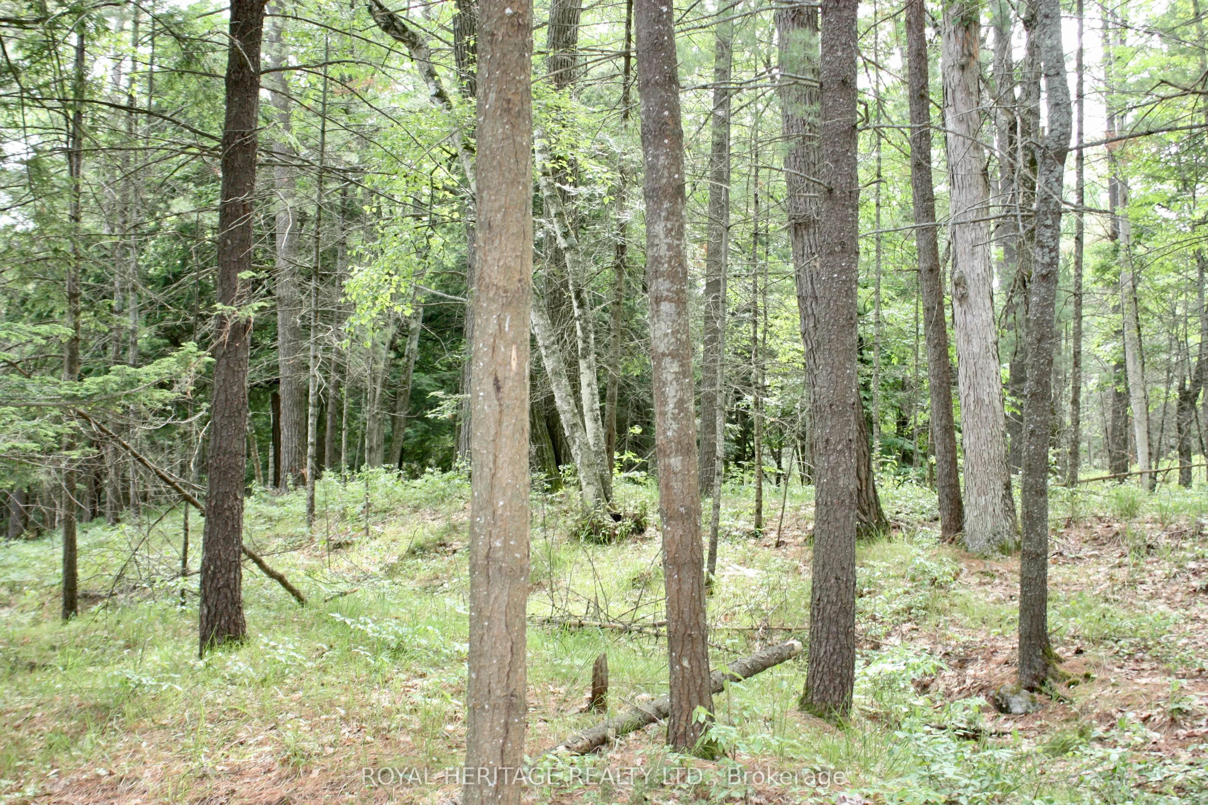 N/A-WAO Kasshabog Lake, #LOT 2