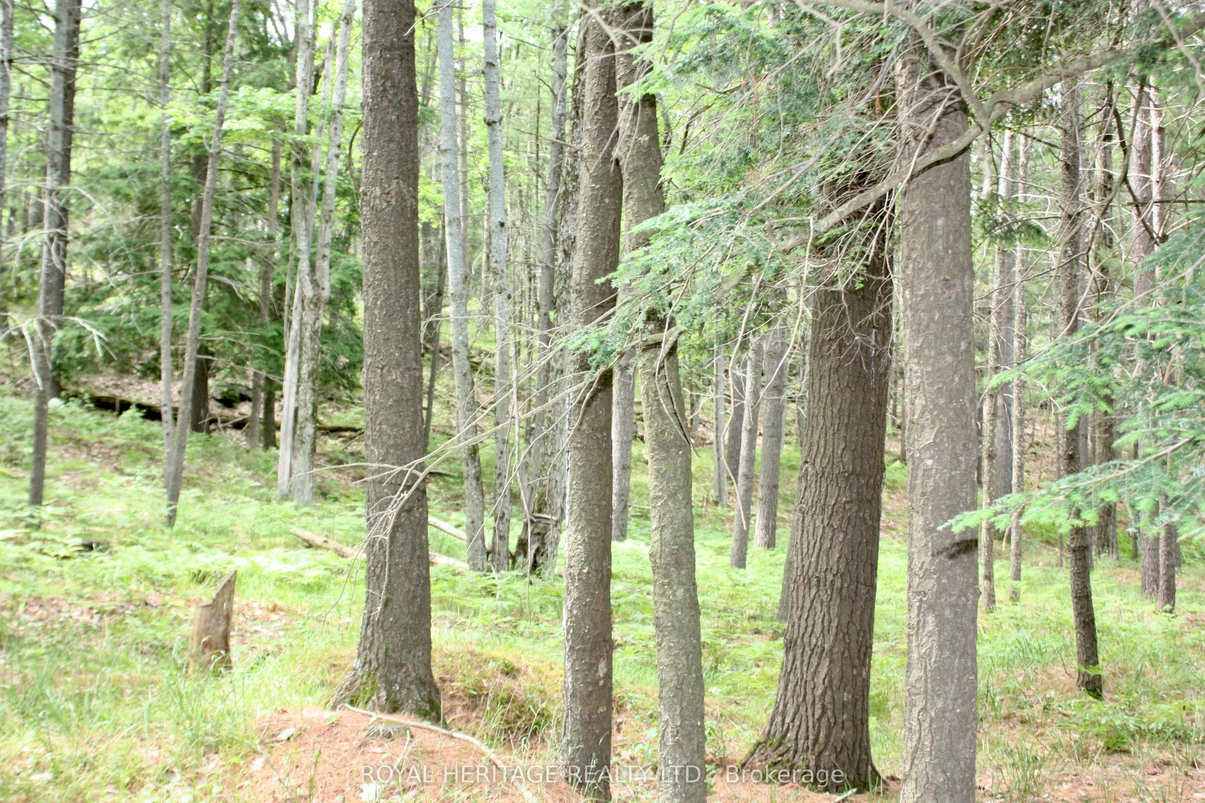 N/A-WAO Kasshabog Lake, #LOT 2