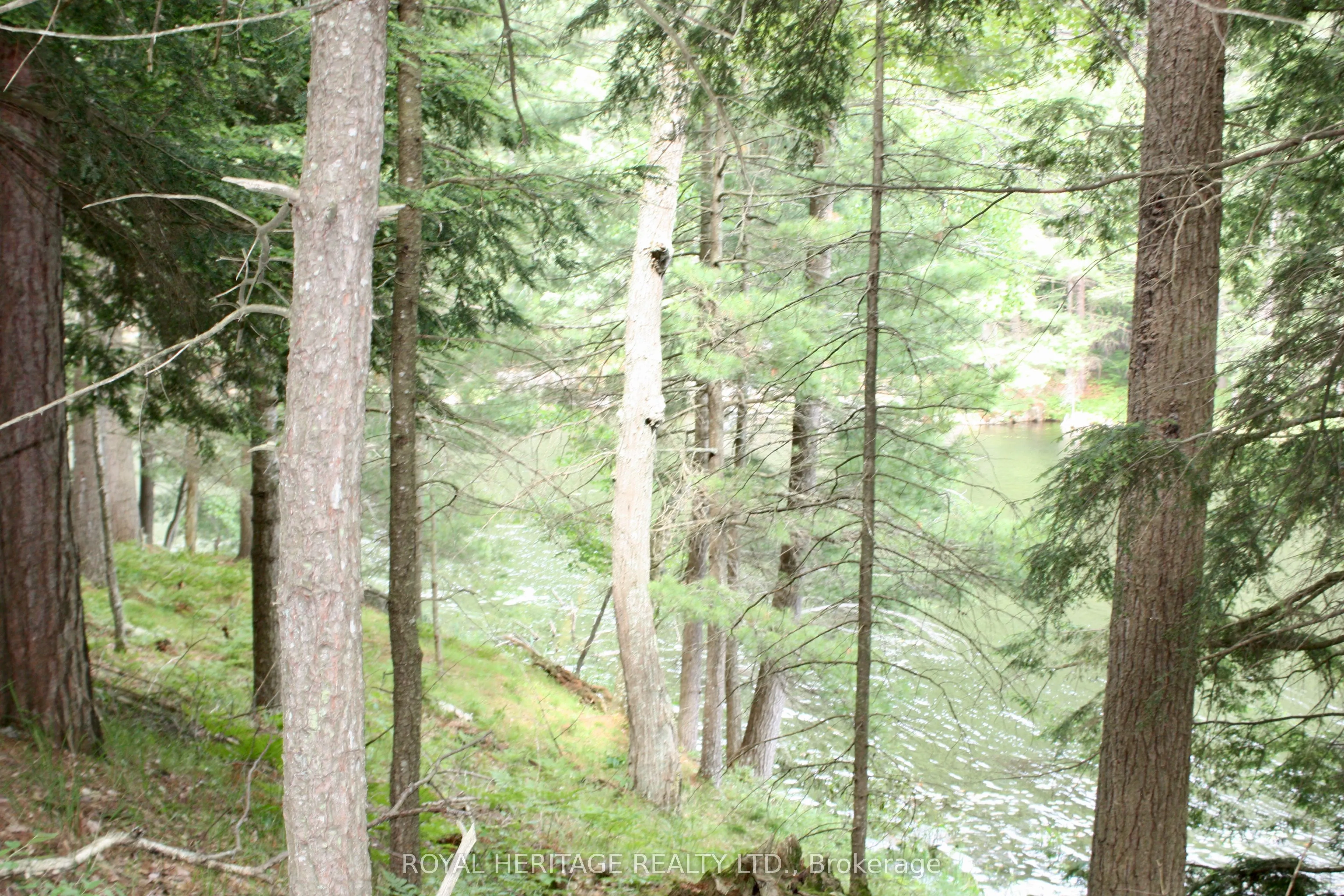 N/A-WAO Kasshabog Lake, #LOT 2