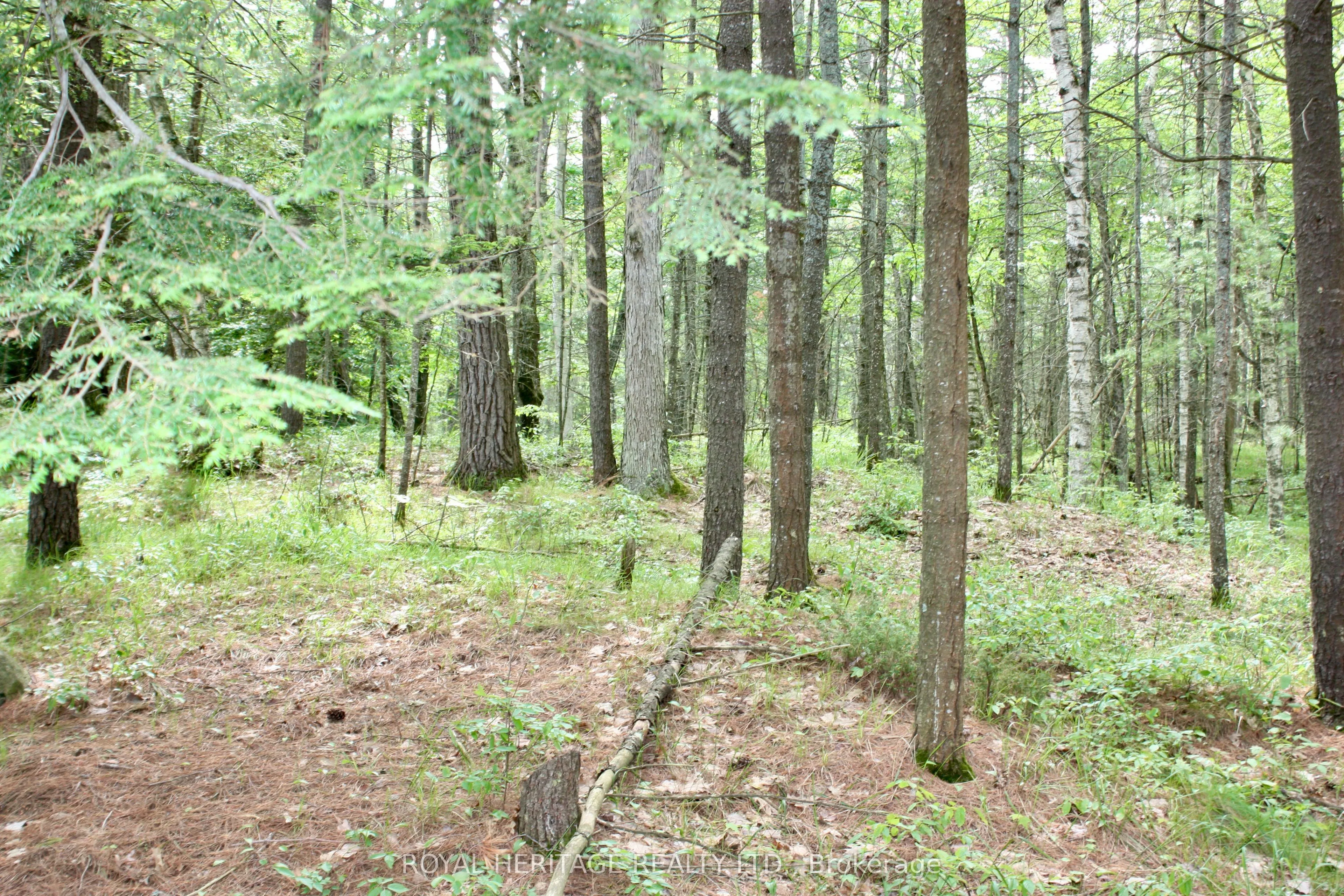 N/A-WAO Kasshabog Lake, #LOT 2