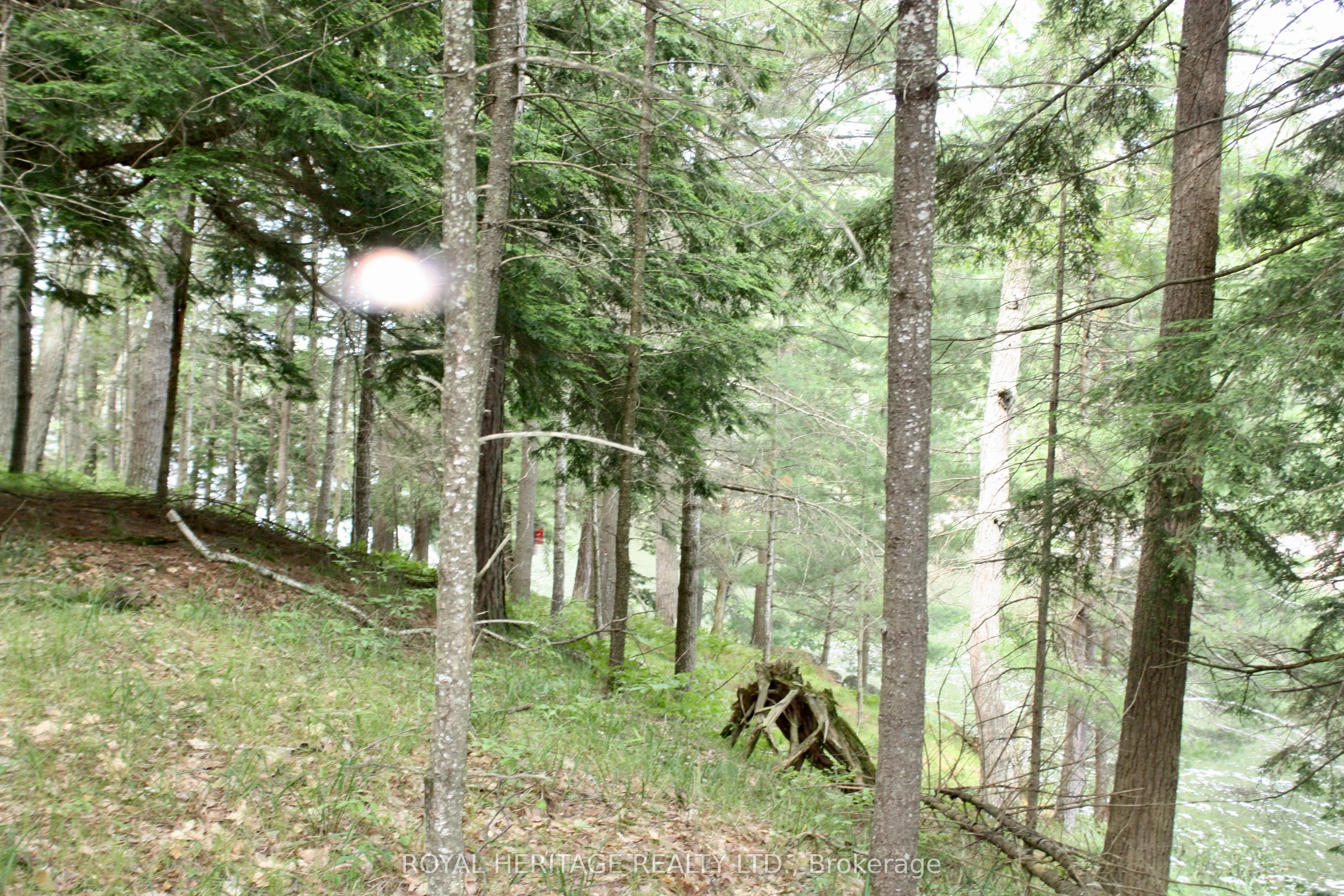 N/A-WAO Kasshabog Lake, #LOT 2