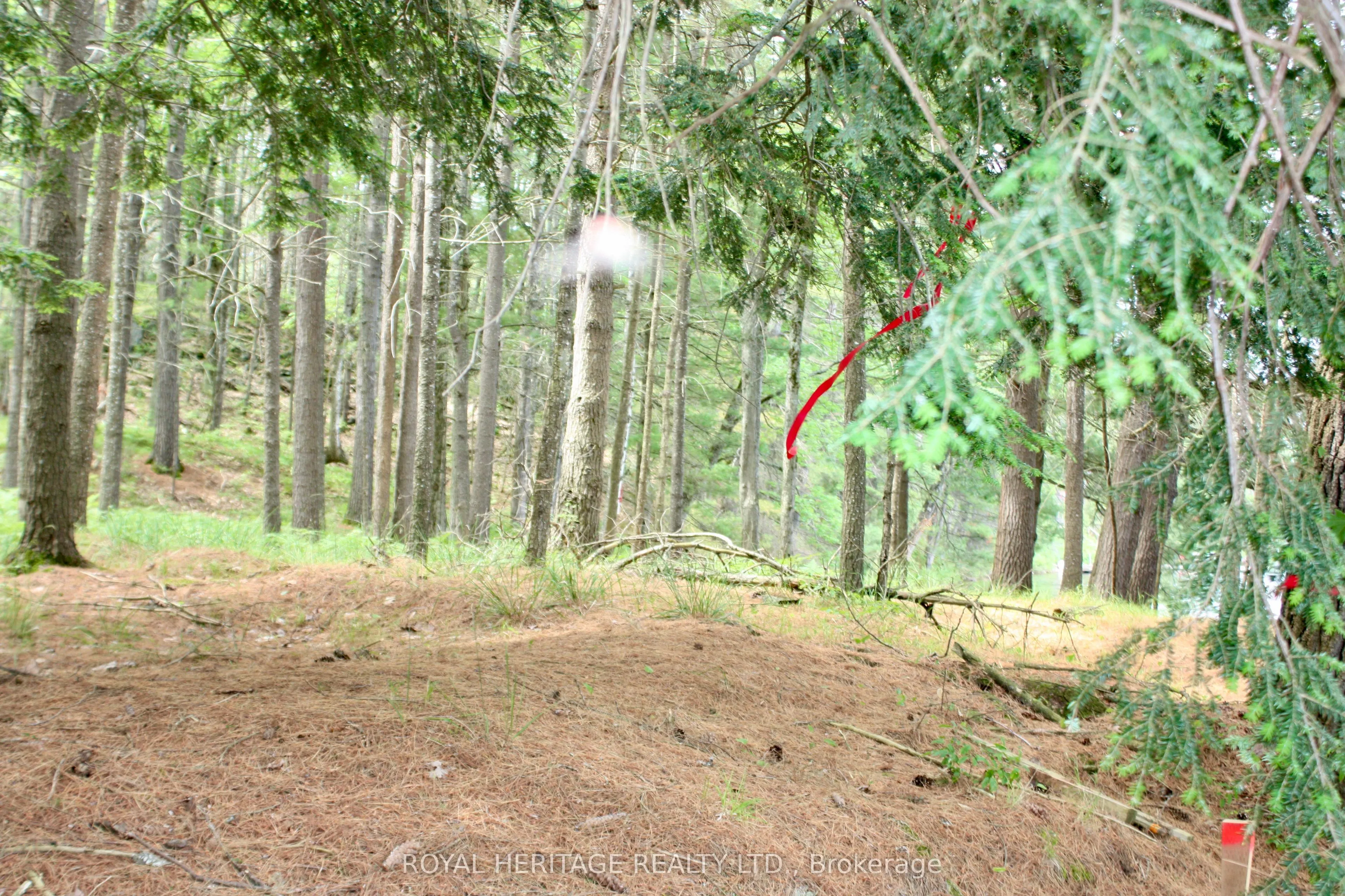 N/A-WAO Kasshabog Lake, #LOT 2
