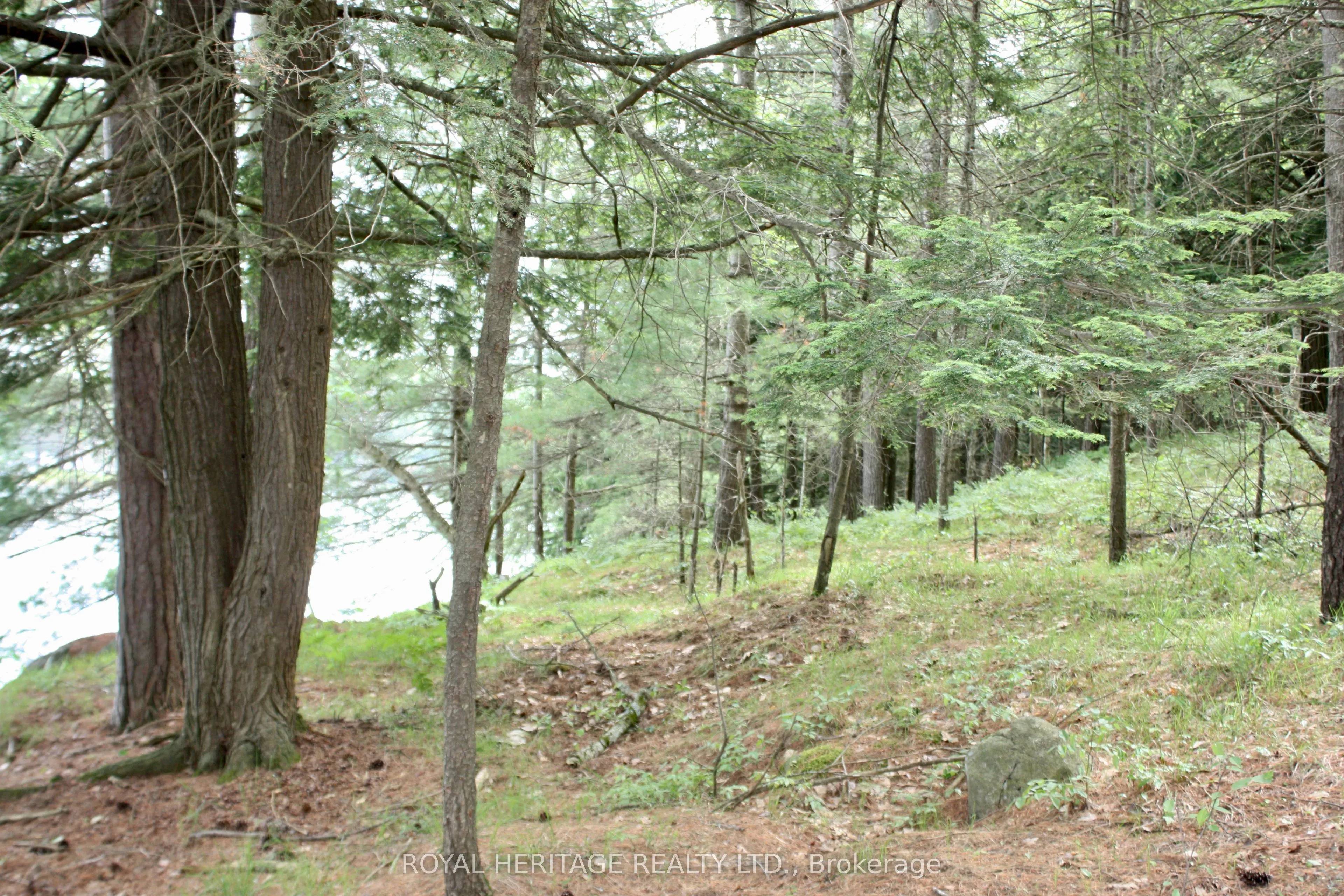 N/A-WAO Kasshabog Lake, #LOT 2