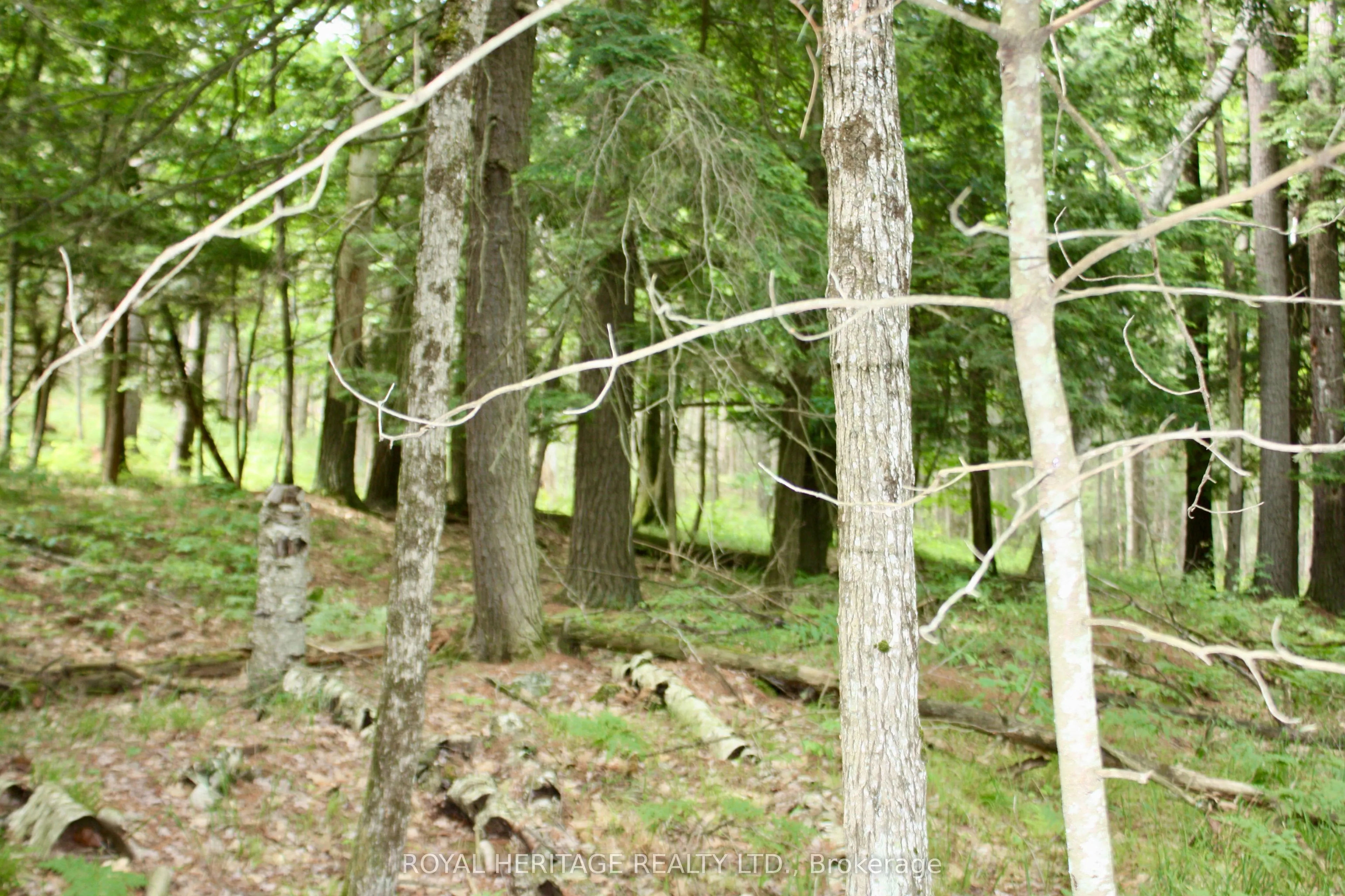 N/A-WAO Kasshabog Lake, #LOT 3