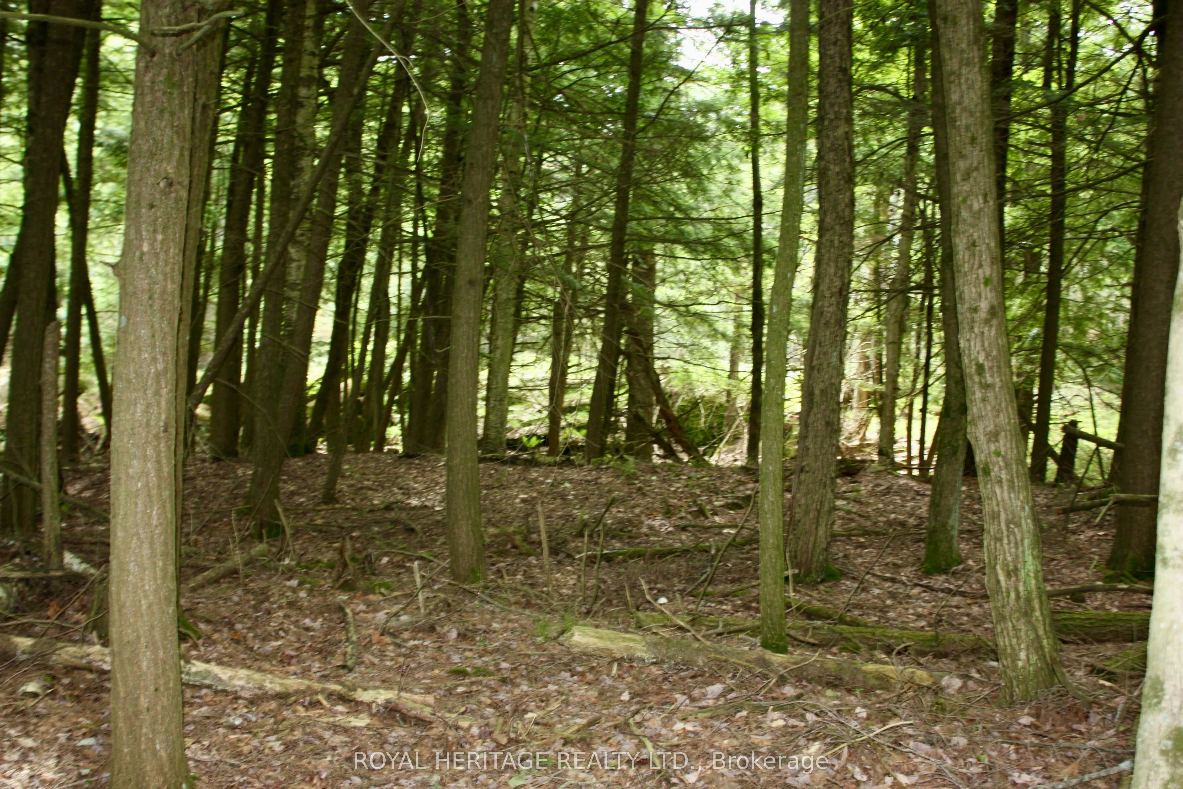 N/A-WAO Kasshabog Lake, #LOT 3