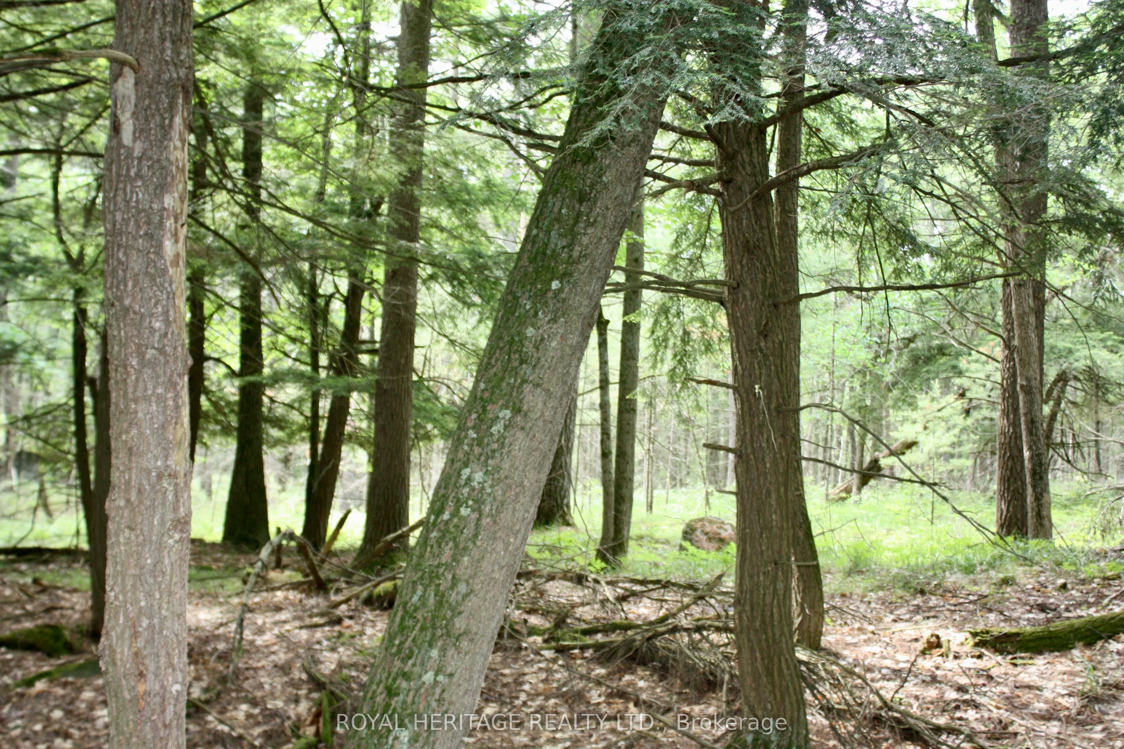 N/A-WAO Kasshabog Lake, #LOT 3