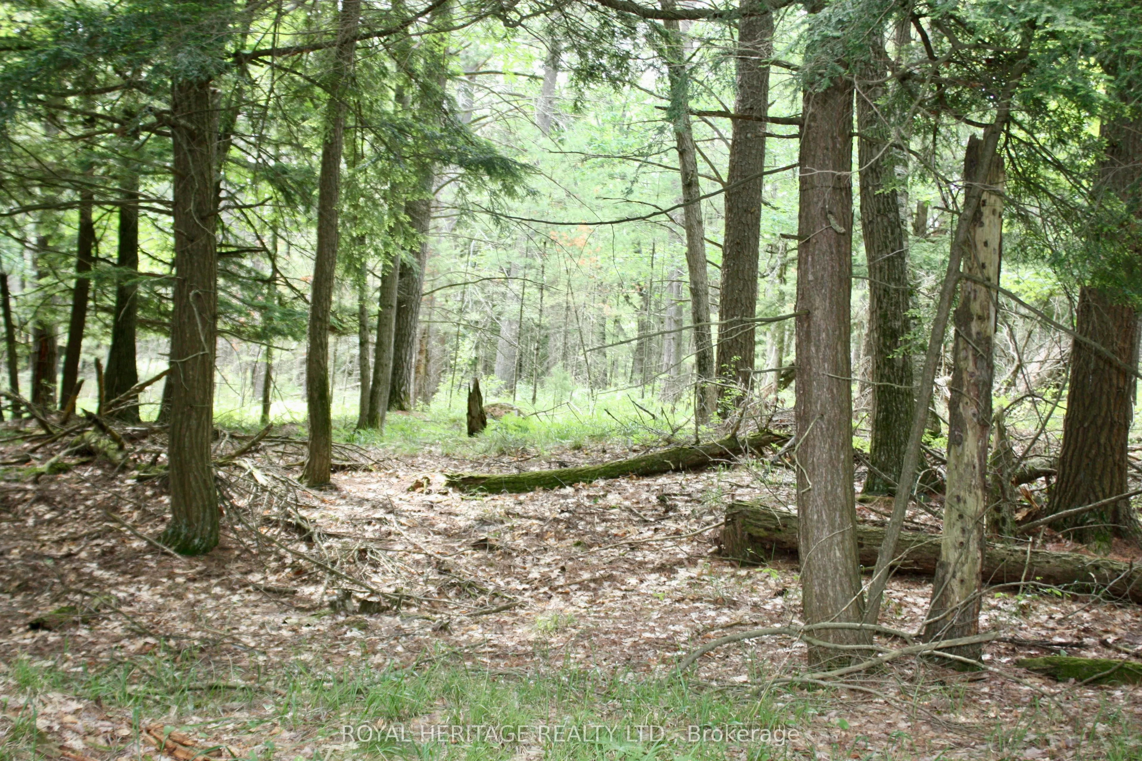 N/A-WAO Kasshabog Lake, #LOT 3