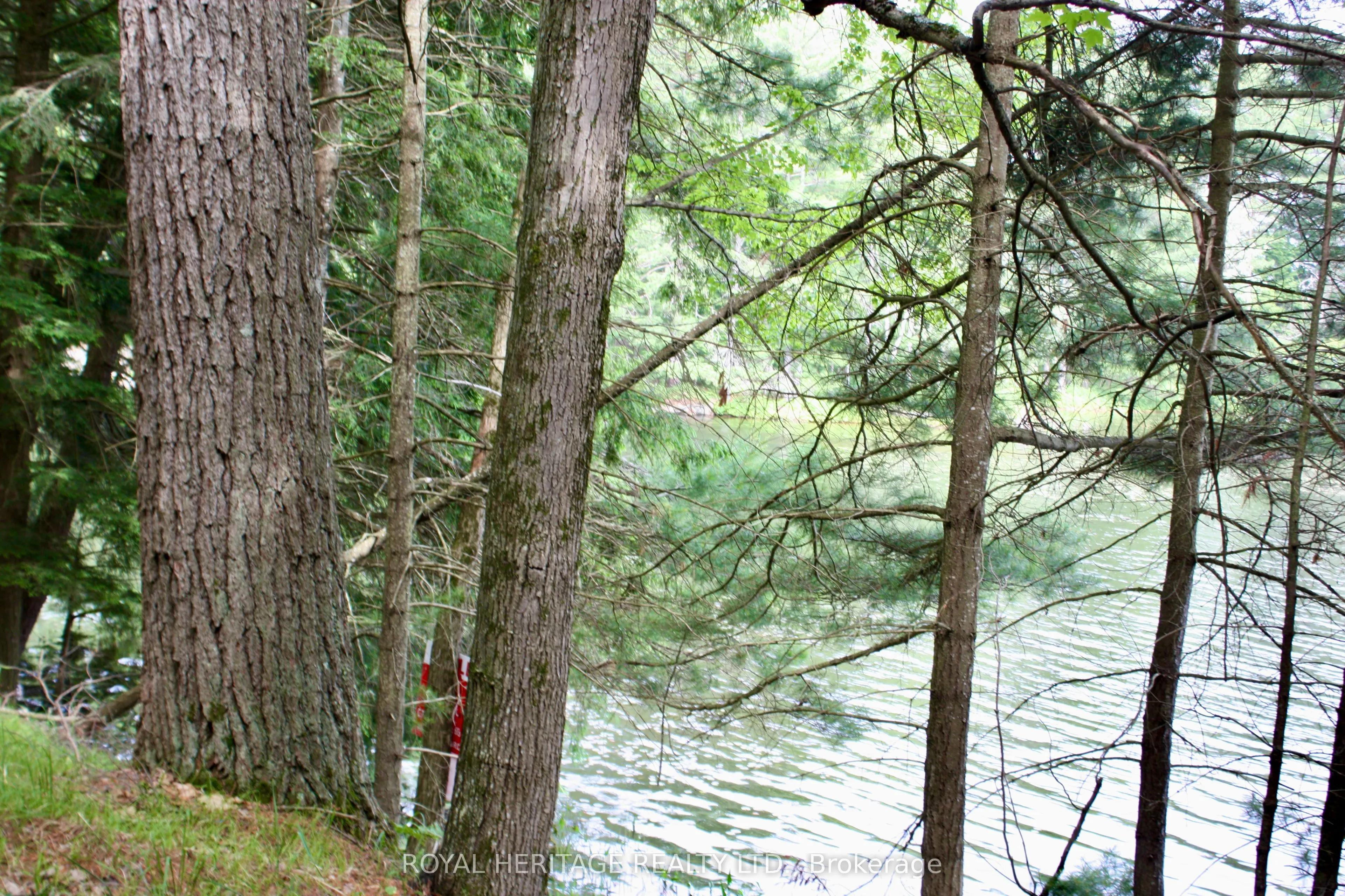 N/A-WAO Kasshabog Lake, #LOT 3