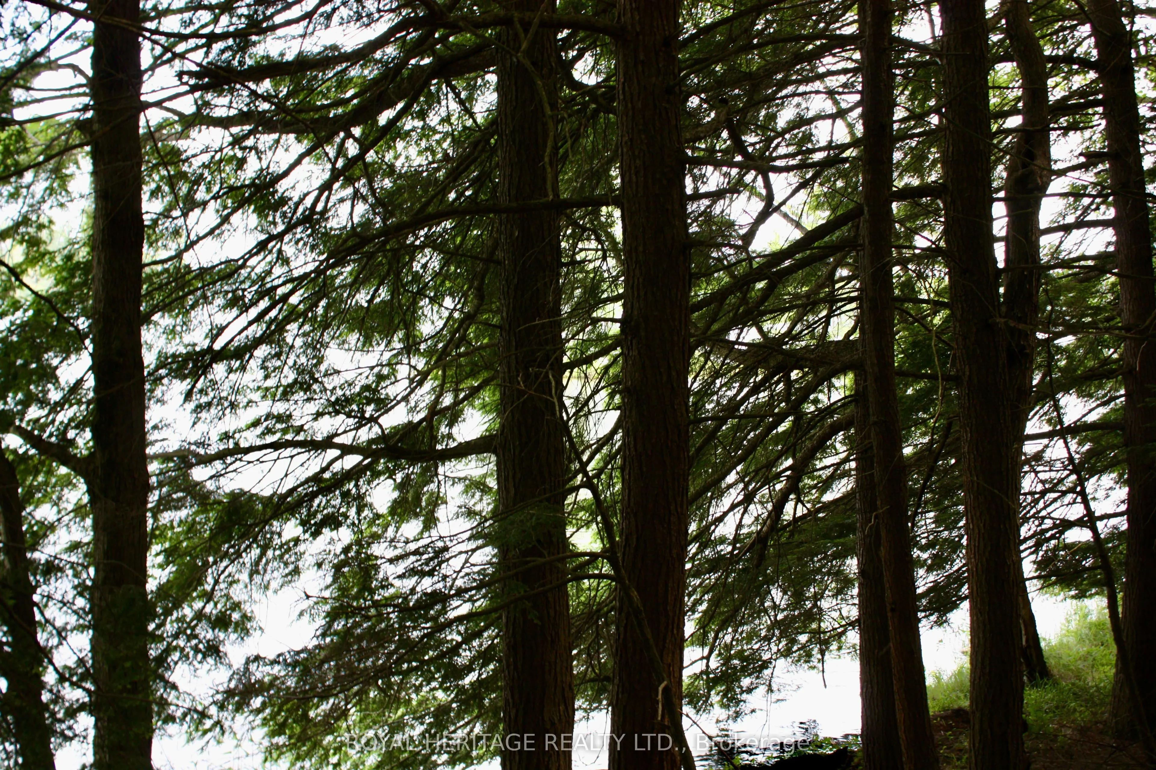 N/A-WAO Kasshabog Lake, #LOT 3