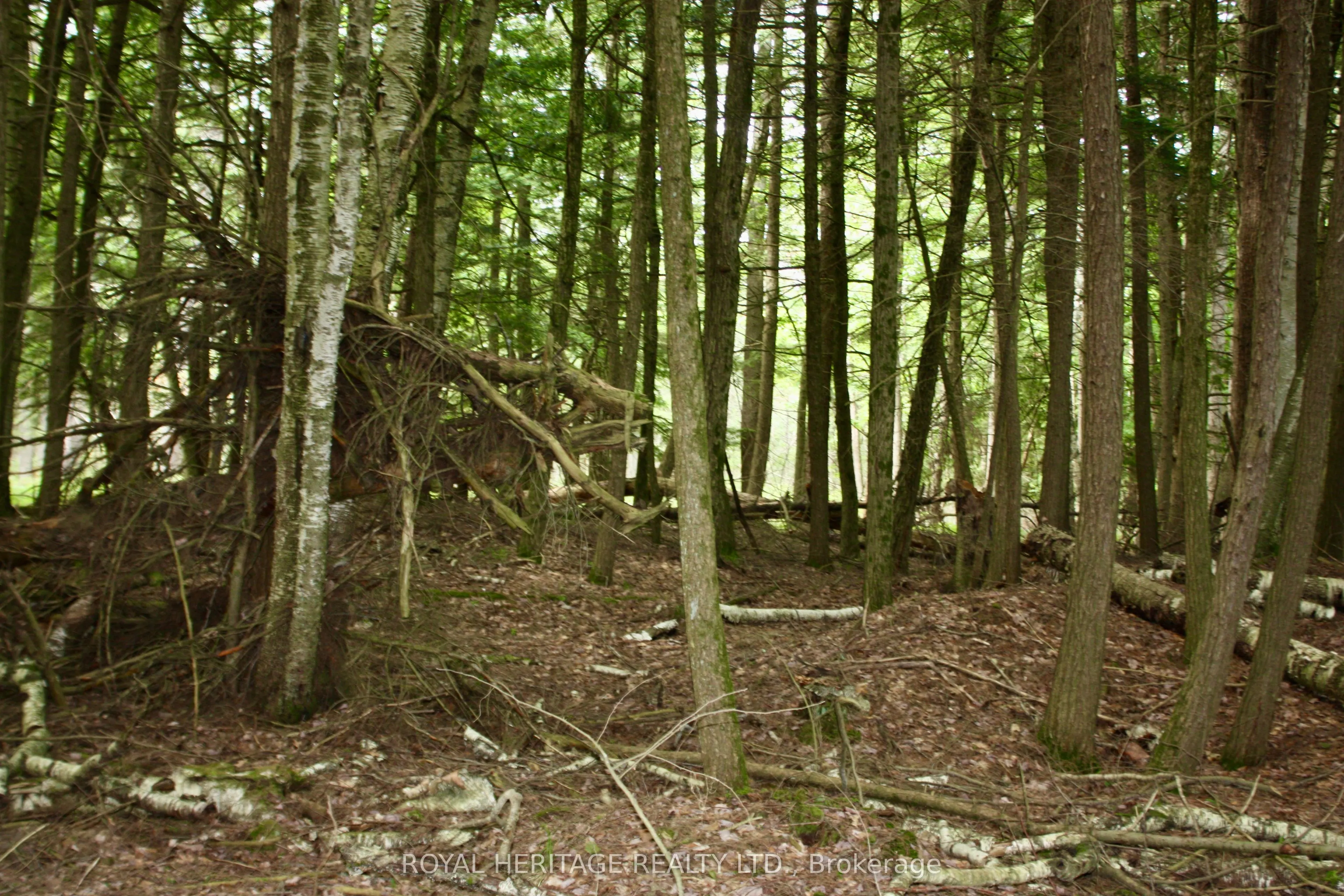 N/A-WAO Kasshabog Lake, #LOT 3