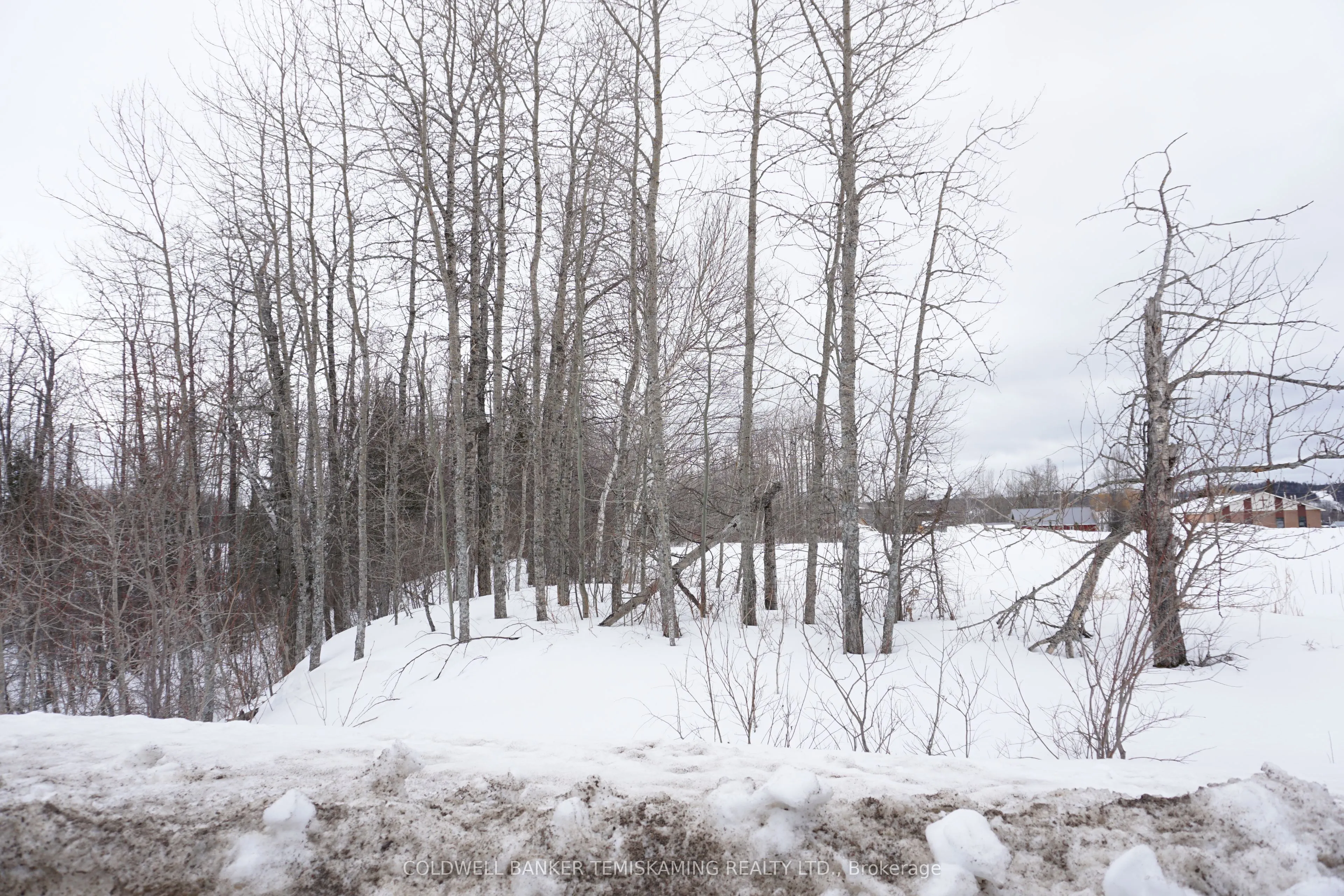 LOT 1 ROSEDALE Avenue