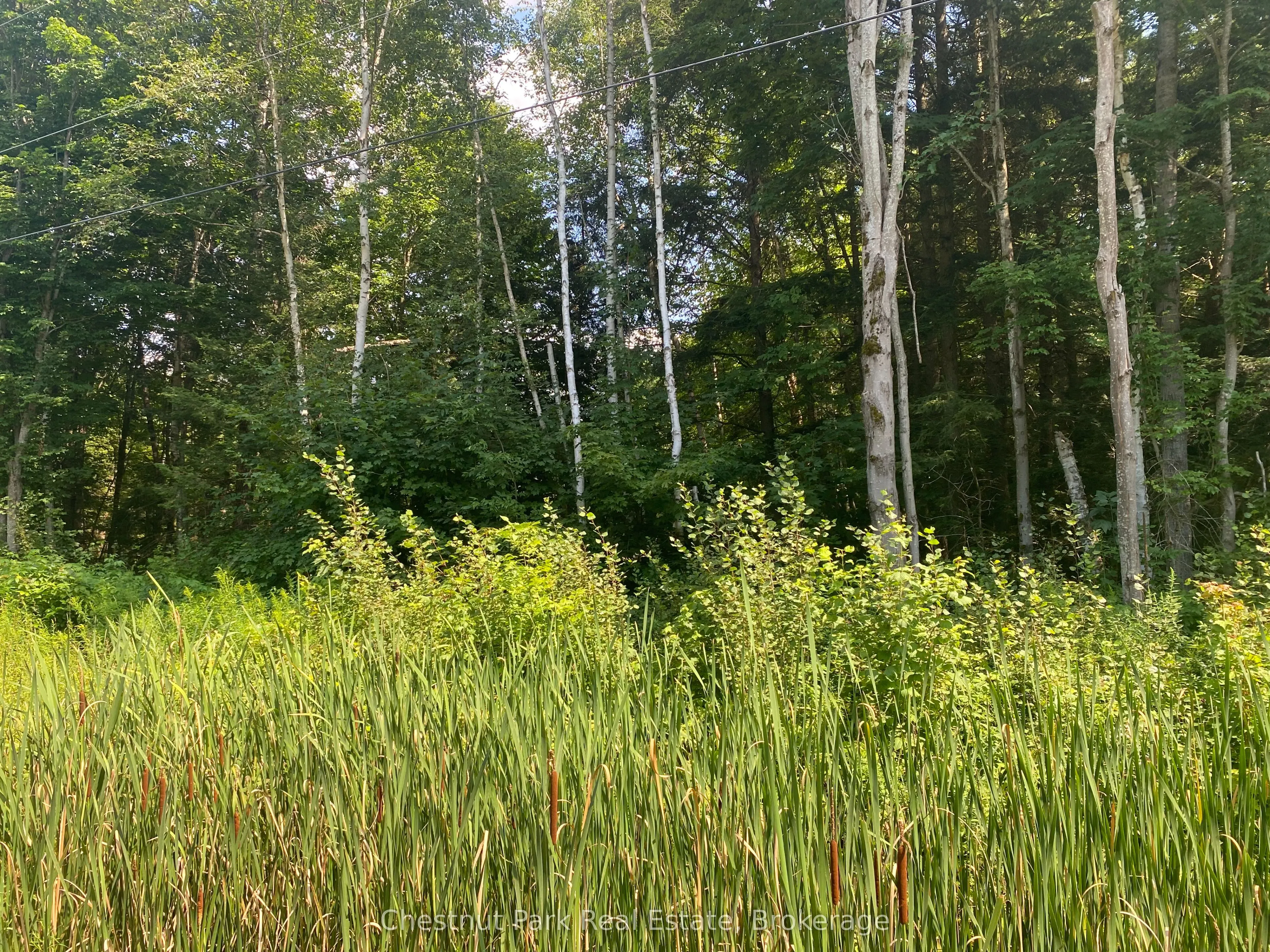 117 E