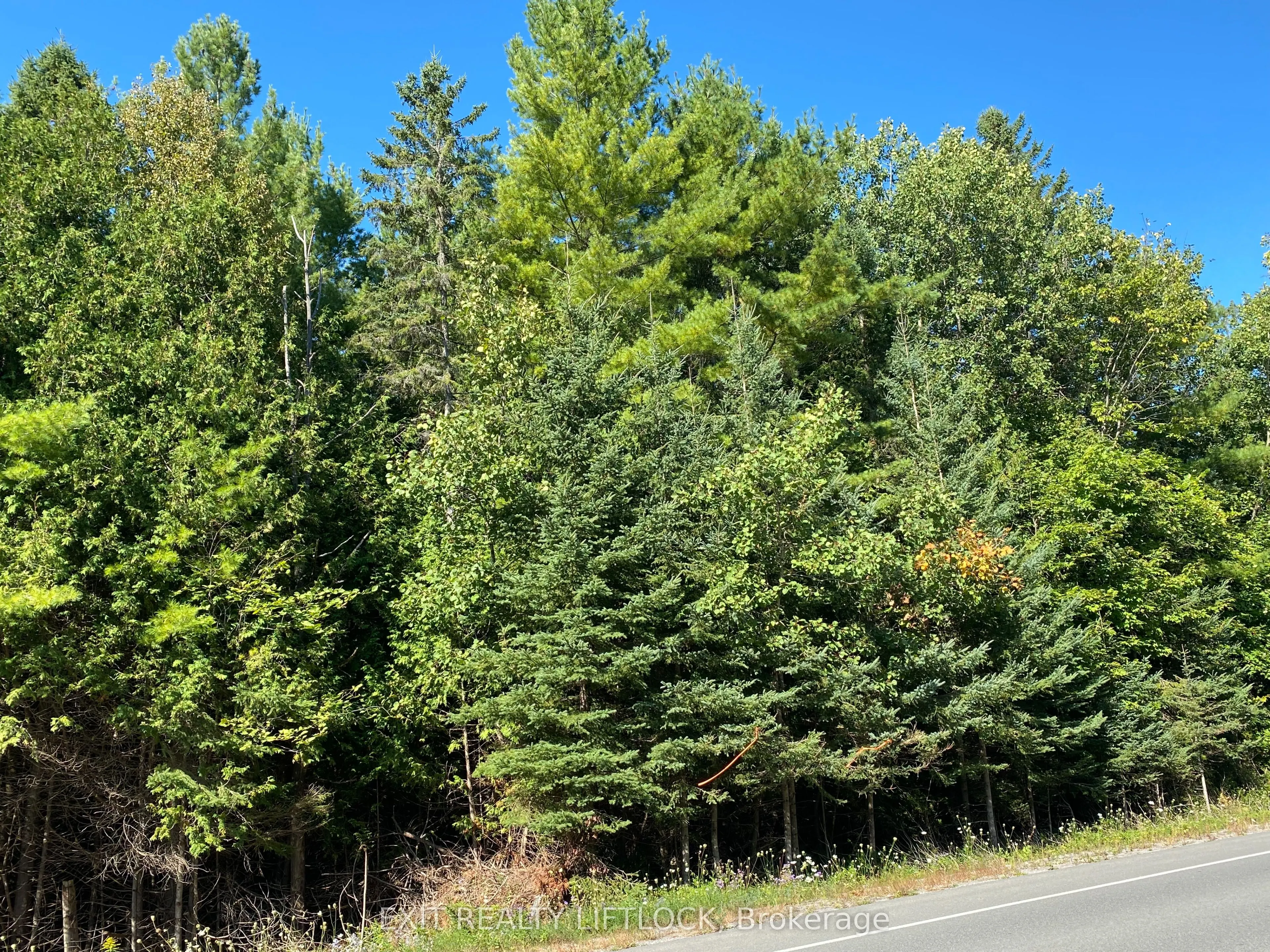 590 County Rd 40