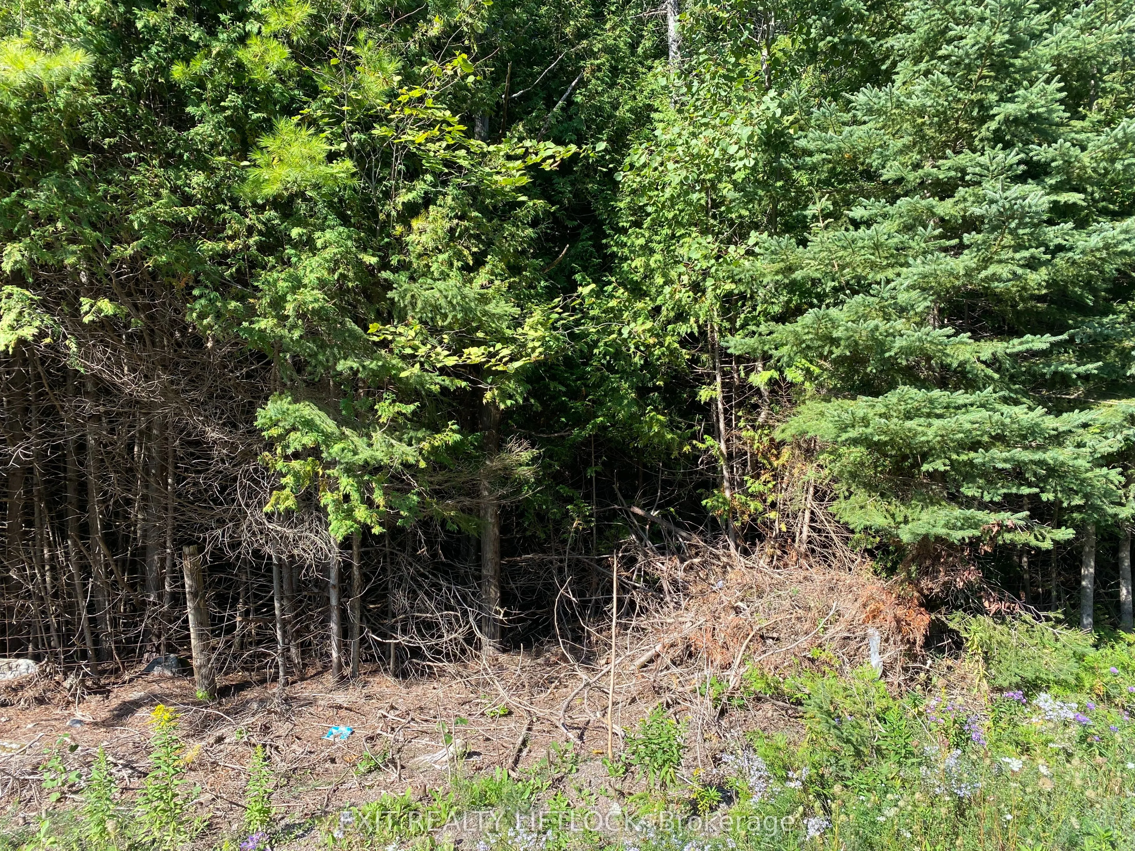 590 County Rd 40