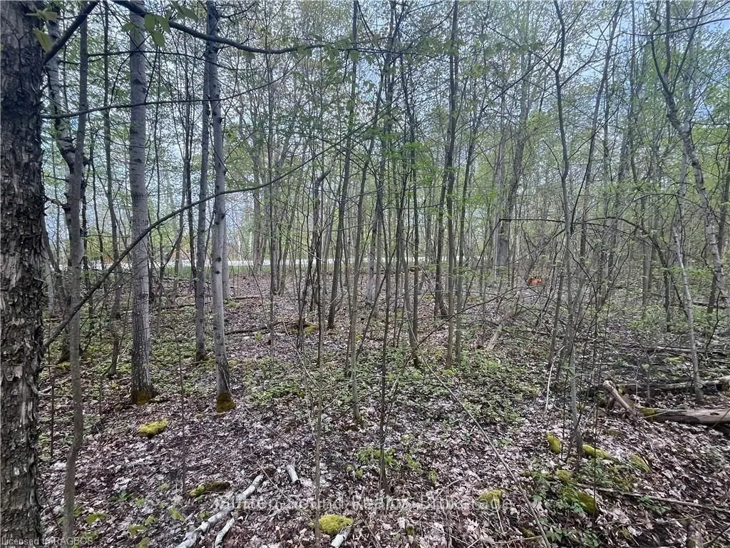 Lot 5 Grey  Road 1