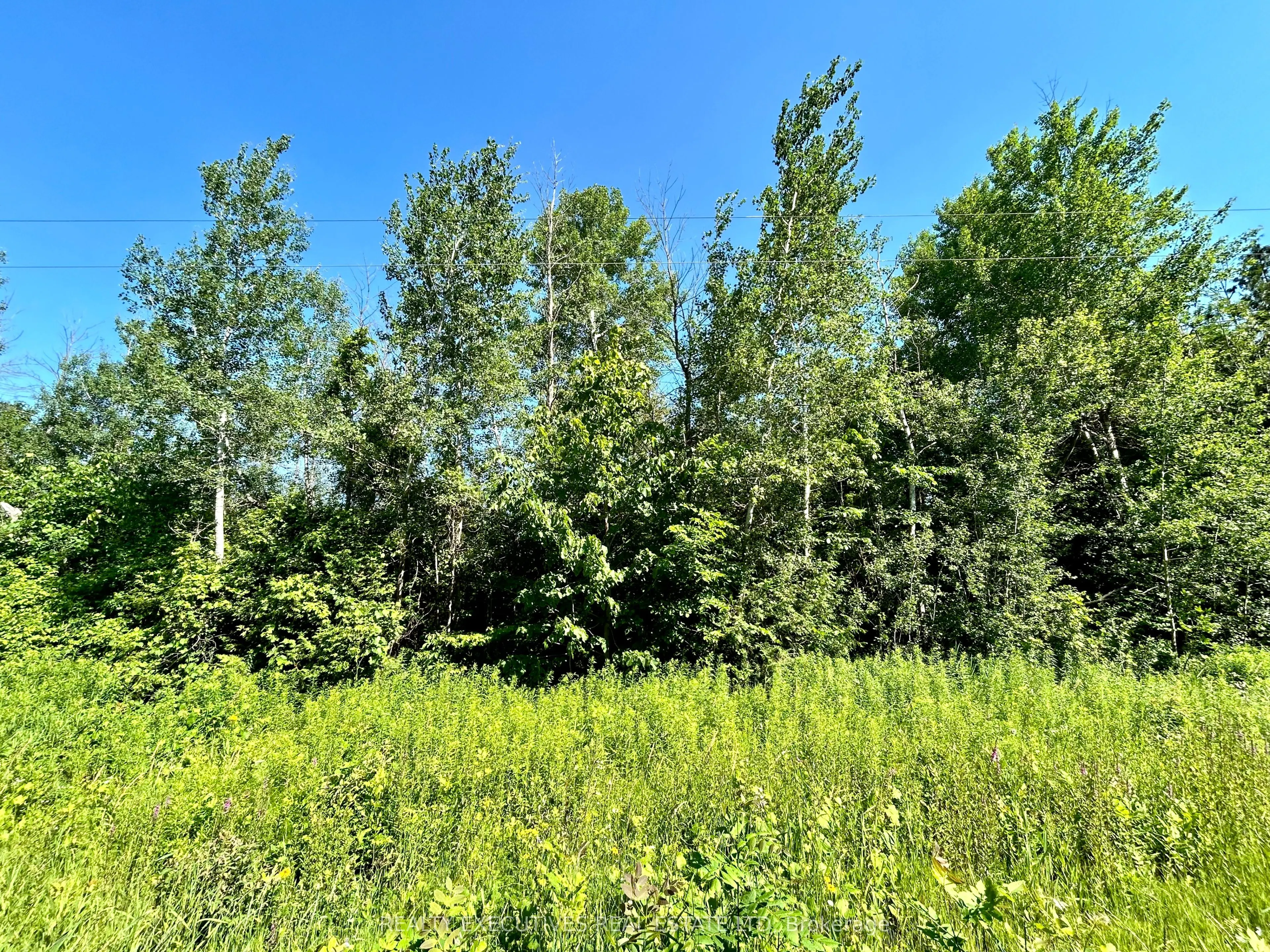 0000 Concession 3-4 Road