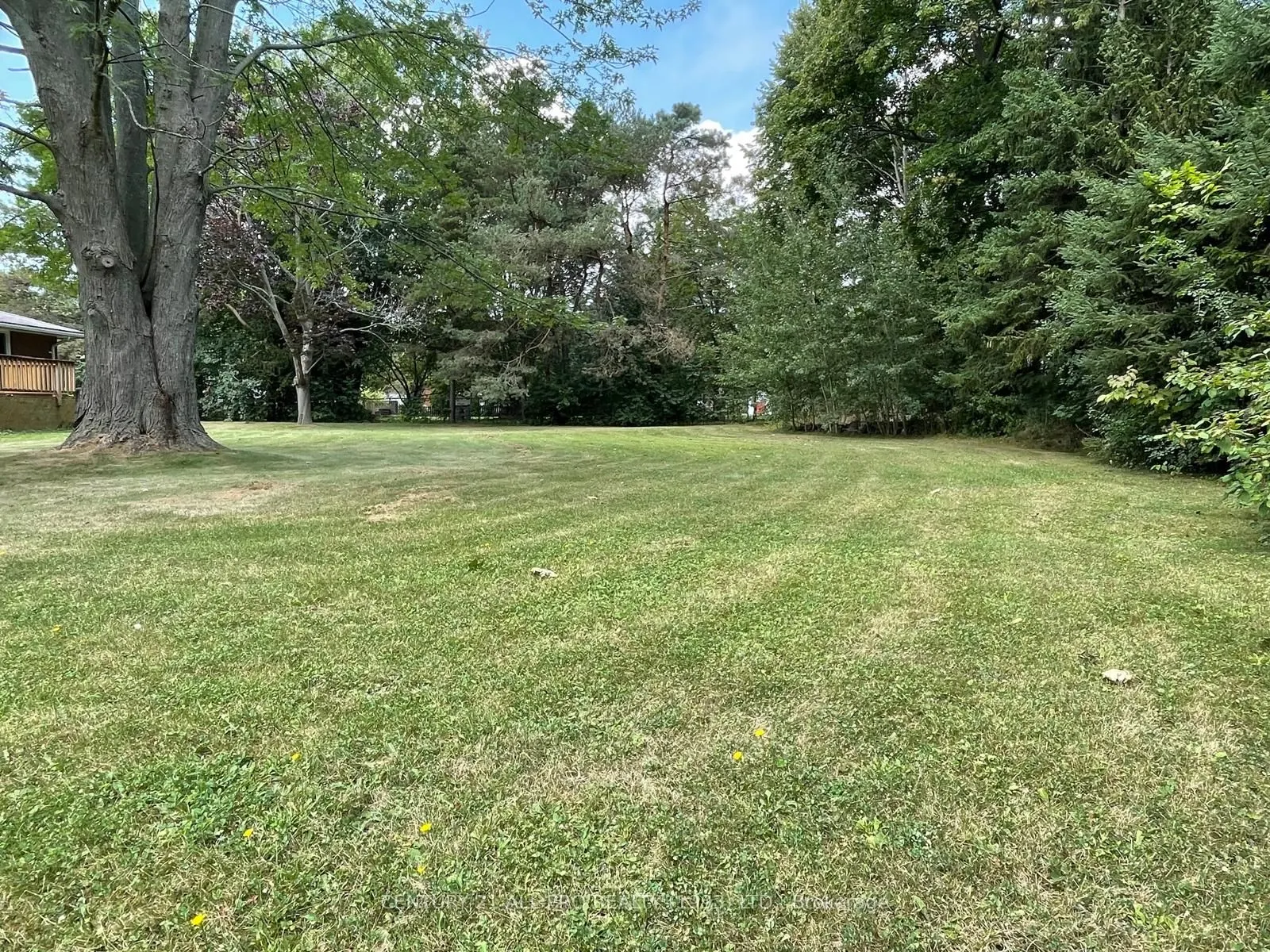 44 Hamilton Avenue