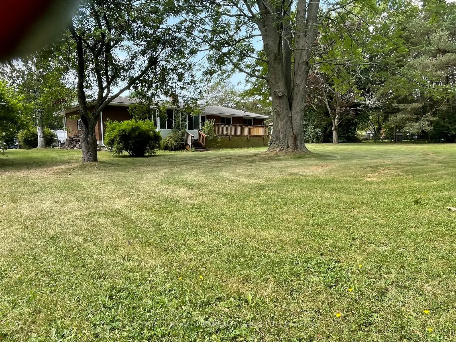 44 Hamilton Avenue