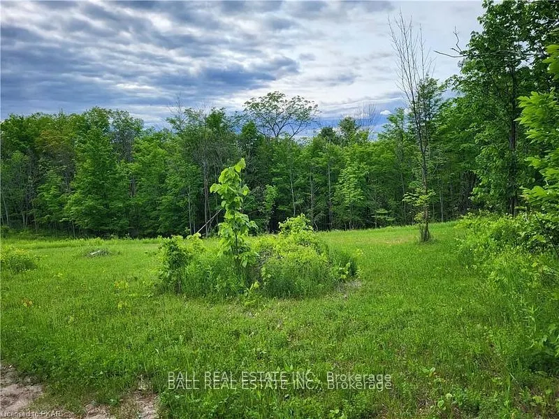 81 Silver Heights Drive