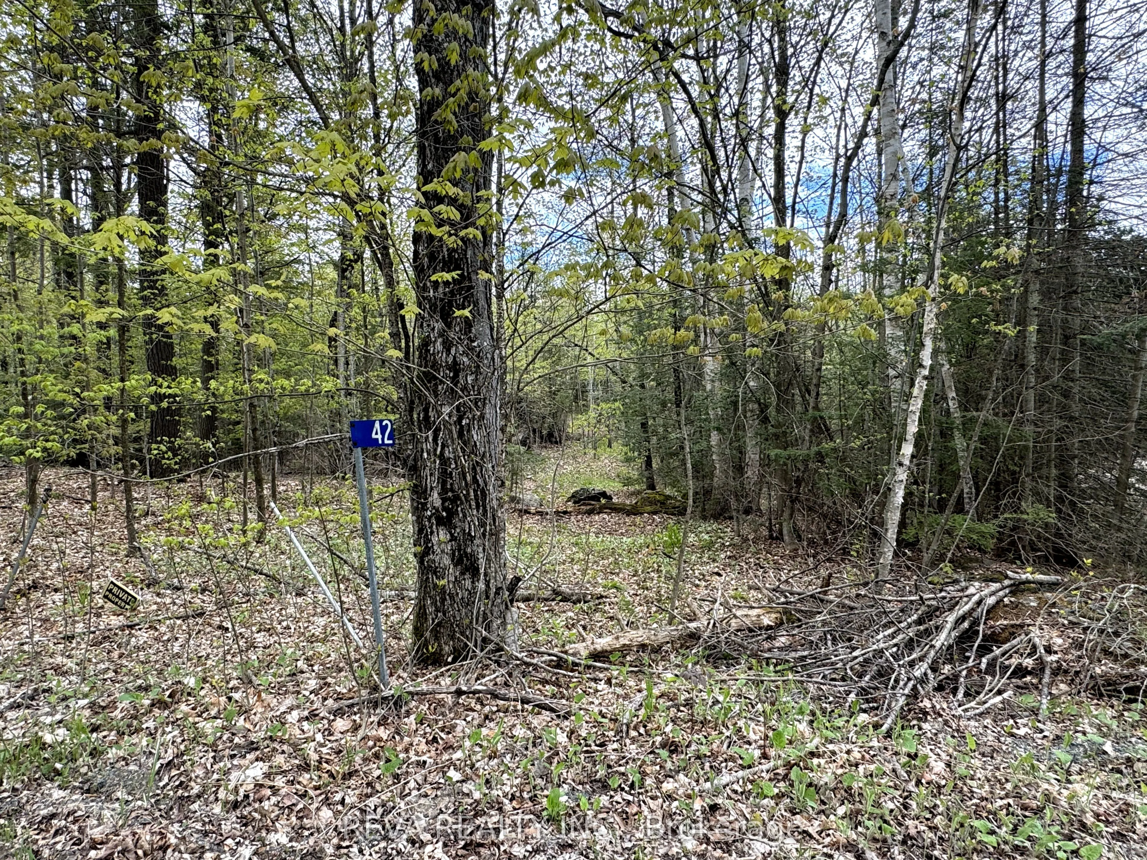 42 Clear Lake Court